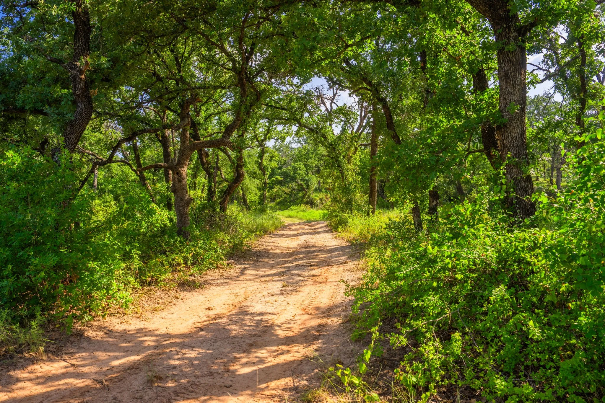 Ranch For Sale in Hood County , 8606 Star Hollow Road, Lipan, Texas 76462, 0, 0, Garage spaces, 0 Sqft, built in 0, Price $1,500,000, mls#21353427, Real Estate Agent in Lipan, Homes For Sale in Hood county, Homes For Sale in Lipan, Realtor in Lipan Texas, Real Estate Brokerage Independent Realty Texas, Luminita Cordes Realtor