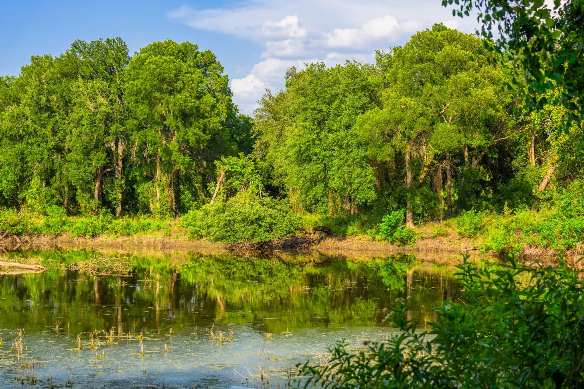 Ranch For Sale in Hood County , 8606 Star Hollow Road, Lipan, Texas 76462, 0, 0, Garage spaces, 0 Sqft, built in 0, Price $1,500,000, mls#21353427, Real Estate Agent in Lipan, Homes For Sale in Hood county, Homes For Sale in Lipan, Realtor in Lipan Texas, Real Estate Brokerage Independent Realty Texas, Luminita Cordes Realtor