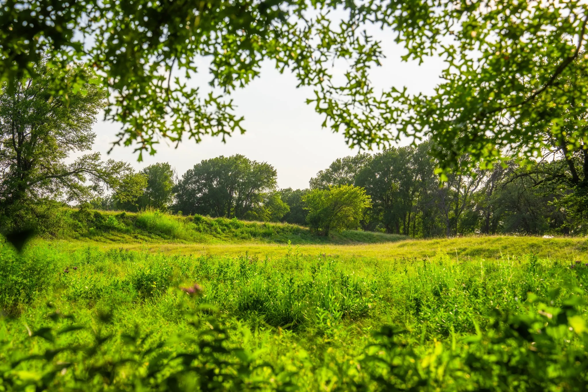 Ranch For Sale in Hood County , 8606 Star Hollow Road, Lipan, Texas 76462, 0, 0, Garage spaces, 0 Sqft, built in 0, Price $1,500,000, mls#21353427, Real Estate Agent in Lipan, Homes For Sale in Hood county, Homes For Sale in Lipan, Realtor in Lipan Texas, Real Estate Brokerage Independent Realty Texas, Luminita Cordes Realtor