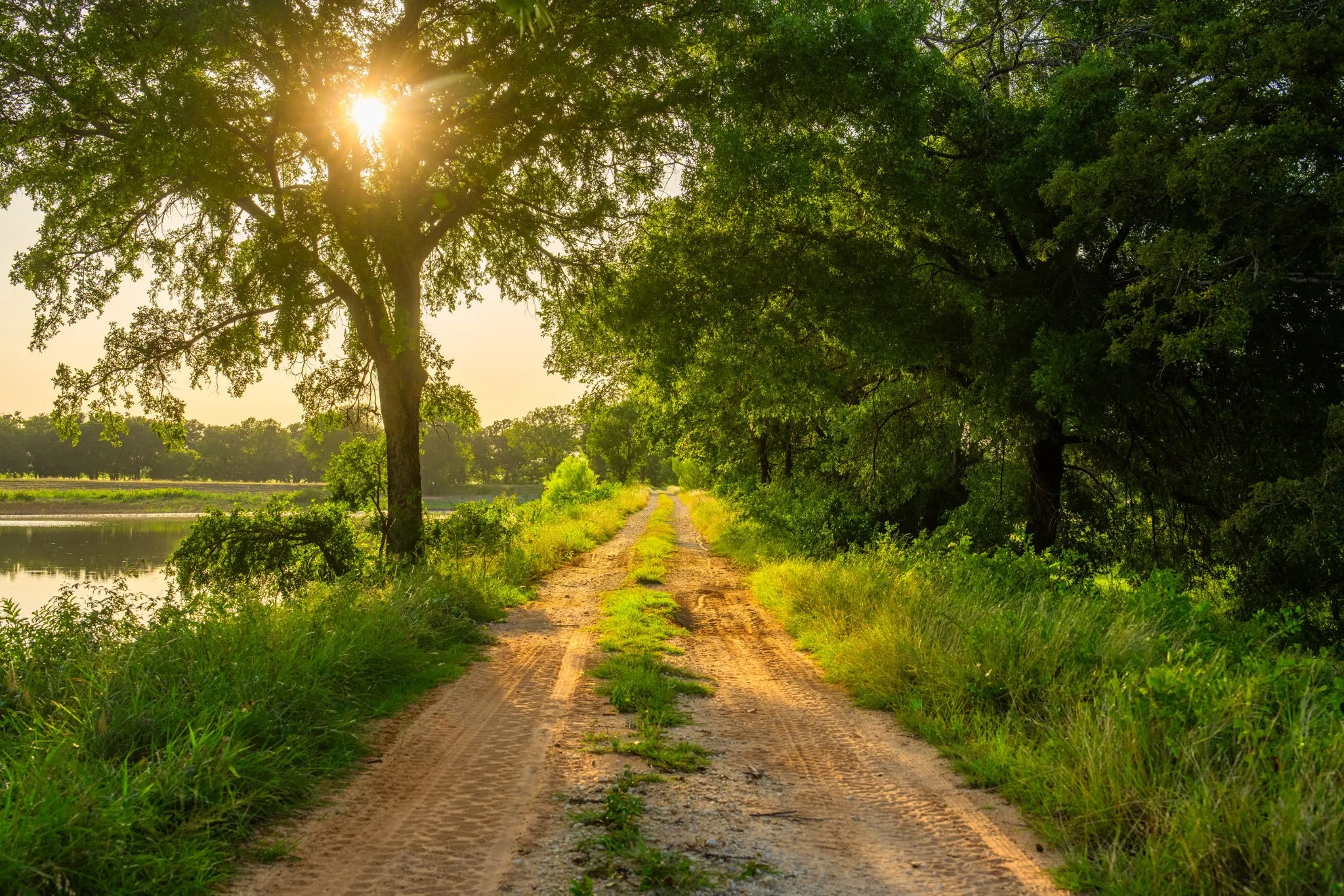 Ranch For Sale in Hood County , 8606 Star Hollow Road, Lipan, Texas 76462, 0, 0, Garage spaces, 0 Sqft, built in 0, Price $1,500,000, mls#21353427, Real Estate Agent in Lipan, Homes For Sale in Hood county, Homes For Sale in Lipan, Realtor in Lipan Texas, Real Estate Brokerage Independent Realty Texas, Luminita Cordes Realtor