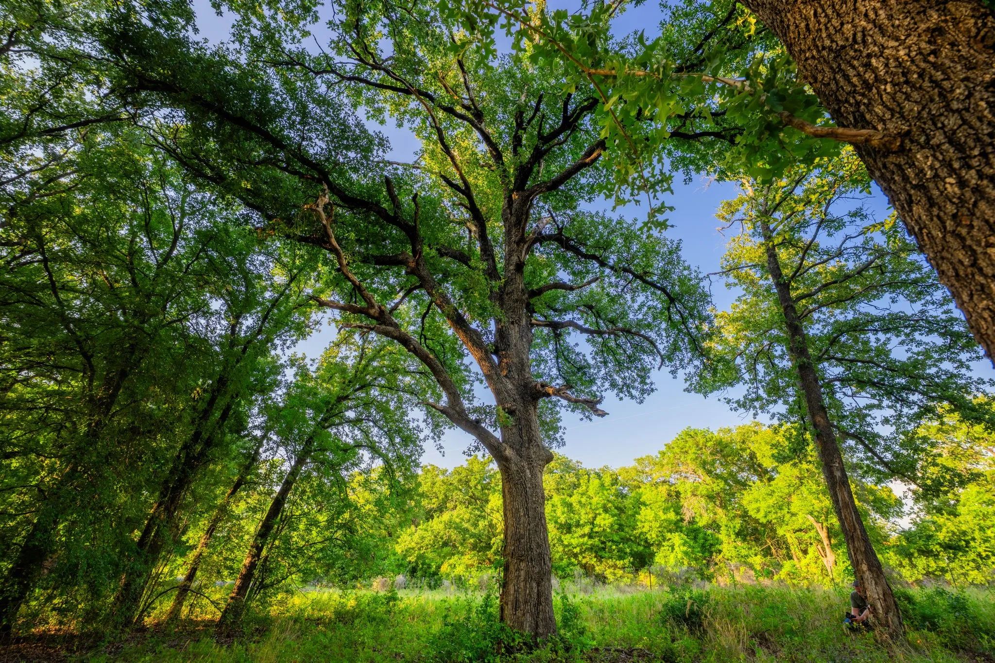 Ranch For Sale in Hood County , 8606 Star Hollow Road, Lipan, Texas 76462, 0, 0, Garage spaces, 0 Sqft, built in 0, Price $1,500,000, mls#21353427, Real Estate Agent in Lipan, Homes For Sale in Hood county, Homes For Sale in Lipan, Realtor in Lipan Texas, Real Estate Brokerage Independent Realty Texas, Luminita Cordes Realtor