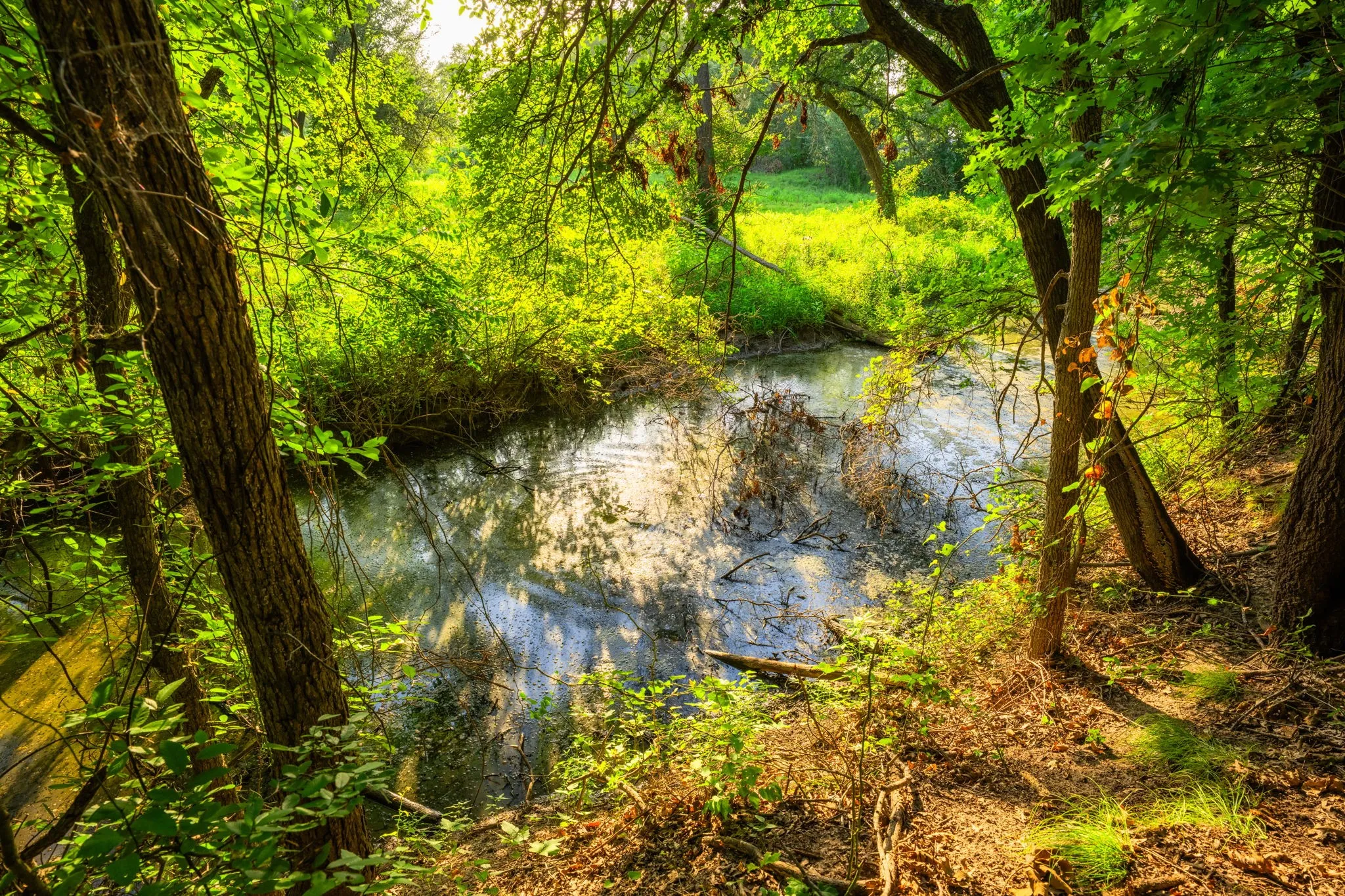 Ranch For Sale in Hood County , 8606 Star Hollow Road, Lipan, Texas 76462, 0, 0, Garage spaces, 0 Sqft, built in 0, Price $1,500,000, mls#21353427, Real Estate Agent in Lipan, Homes For Sale in Hood county, Homes For Sale in Lipan, Realtor in Lipan Texas, Real Estate Brokerage Independent Realty Texas, Luminita Cordes Realtor