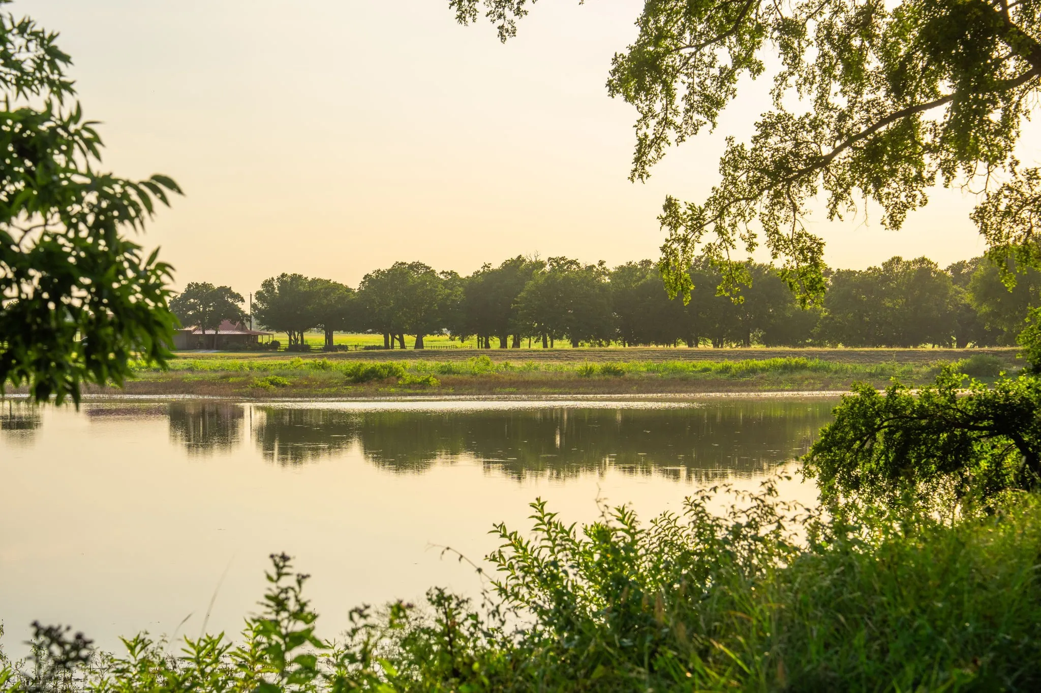 Ranch For Sale in Hood County , 8606 Star Hollow Road, Lipan, Texas 76462, 0, 0, Garage spaces, 0 Sqft, built in 0, Price $1,500,000, mls#21353427, Real Estate Agent in Lipan, Homes For Sale in Hood county, Homes For Sale in Lipan, Realtor in Lipan Texas, Real Estate Brokerage Independent Realty Texas, Luminita Cordes Realtor