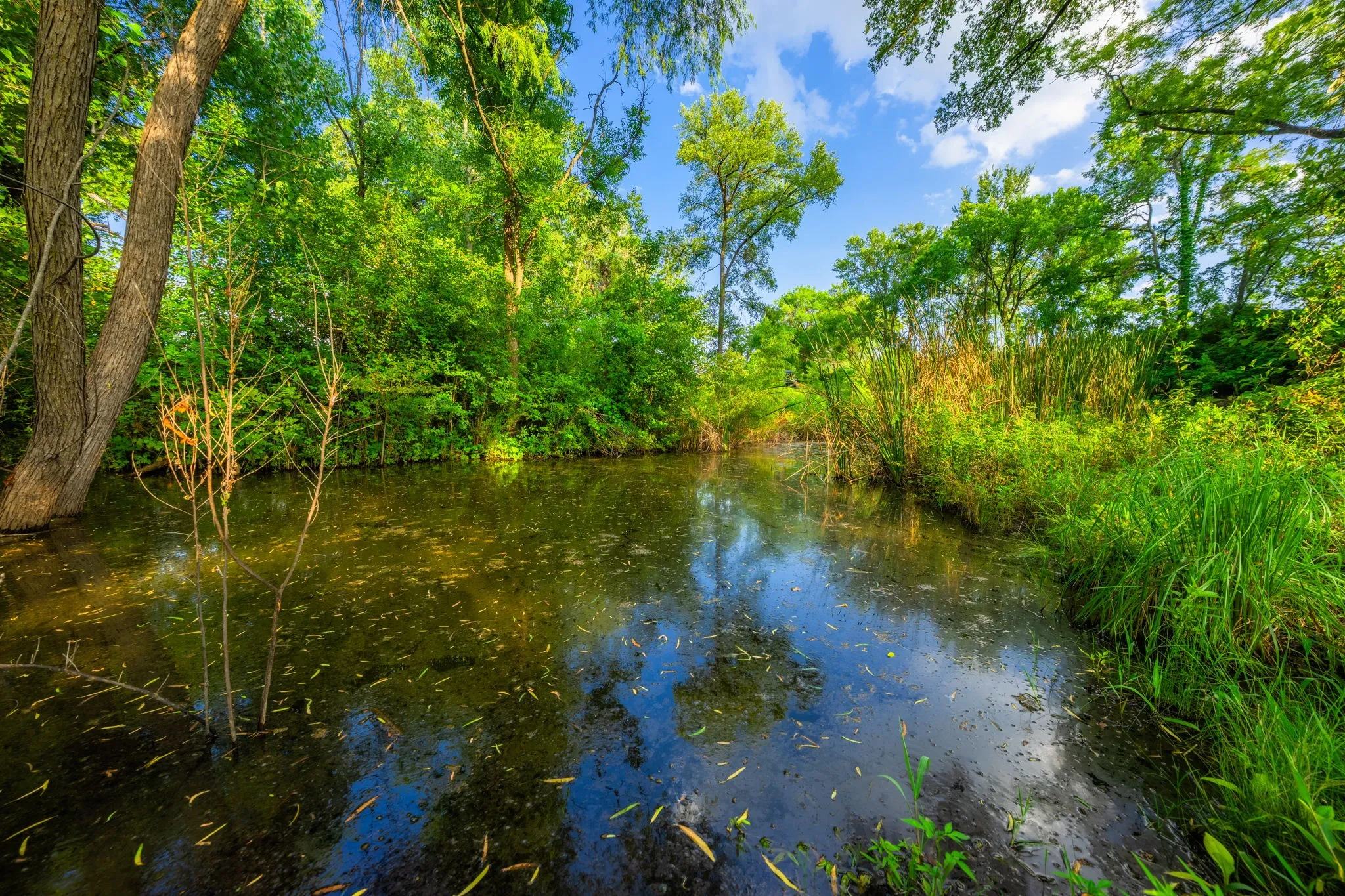 Ranch For Sale in Hood County , 8606 Star Hollow Road, Lipan, Texas 76462, 0, 0, Garage spaces, 0 Sqft, built in 0, Price $1,500,000, mls#21353427, Real Estate Agent in Lipan, Homes For Sale in Hood county, Homes For Sale in Lipan, Realtor in Lipan Texas, Real Estate Brokerage Independent Realty Texas, Luminita Cordes Realtor