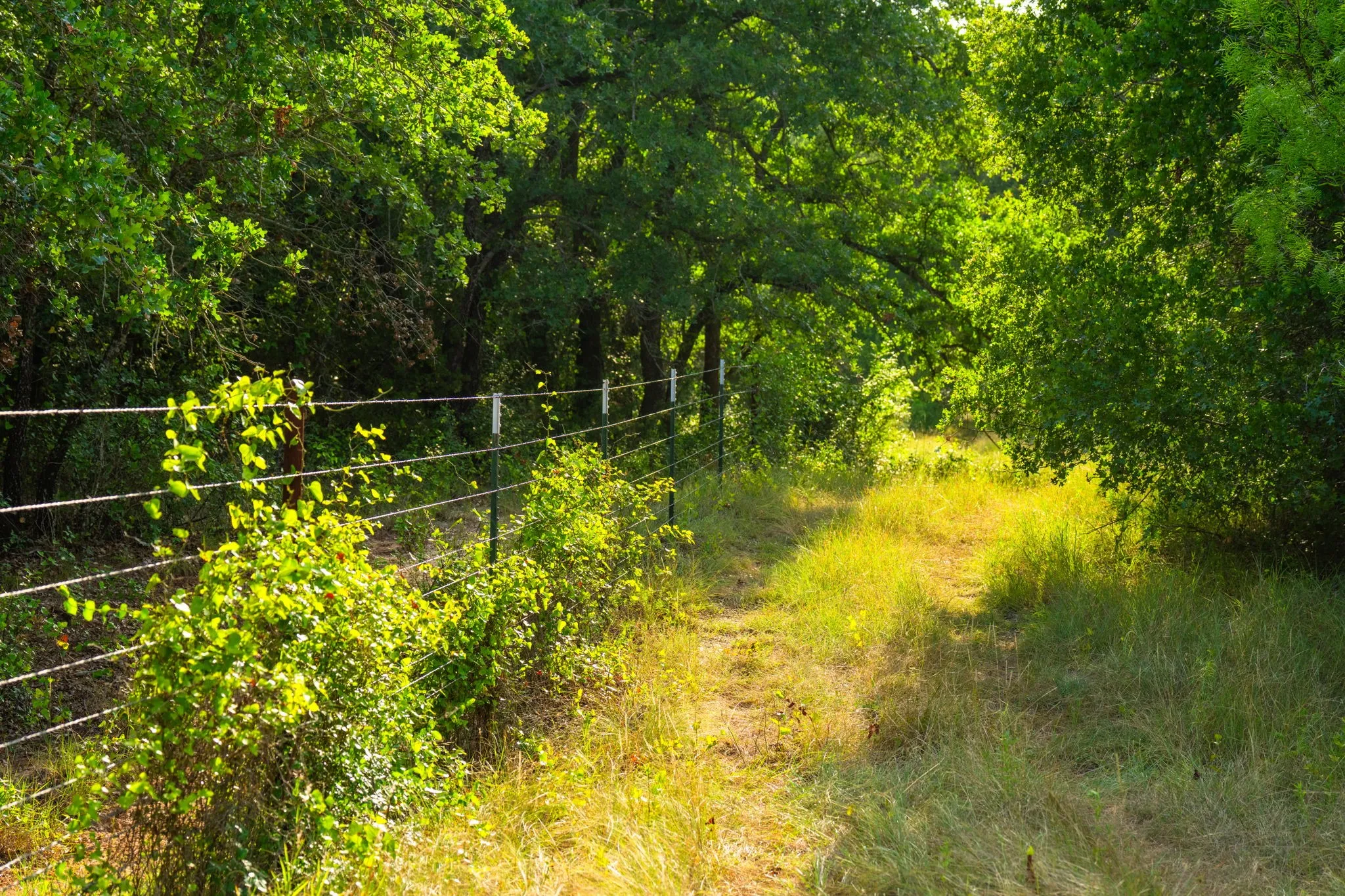 Ranch For Sale in Hood County , 8606 Star Hollow Road, Lipan, Texas 76462, 0, 0, Garage spaces, 0 Sqft, built in 0, Price $1,500,000, mls#21353427, Real Estate Agent in Lipan, Homes For Sale in Hood county, Homes For Sale in Lipan, Realtor in Lipan Texas, Real Estate Brokerage Independent Realty Texas, Luminita Cordes Realtor