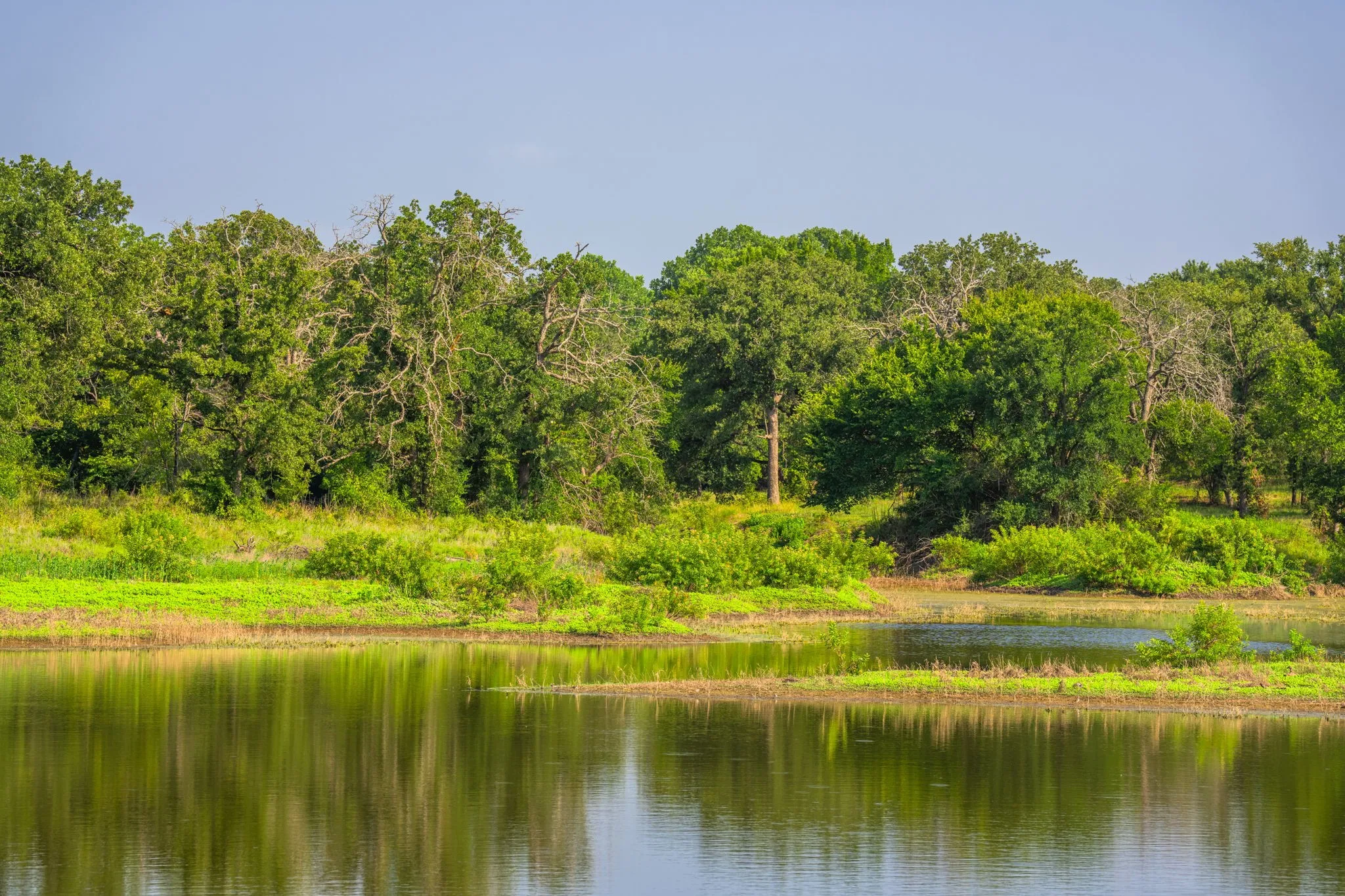 Ranch For Sale in Hood County , 8606 Star Hollow Road, Lipan, Texas 76462, 0, 0, Garage spaces, 0 Sqft, built in 0, Price $1,500,000, mls#21353427, Real Estate Agent in Lipan, Homes For Sale in Hood county, Homes For Sale in Lipan, Realtor in Lipan Texas, Real Estate Brokerage Independent Realty Texas, Luminita Cordes Realtor