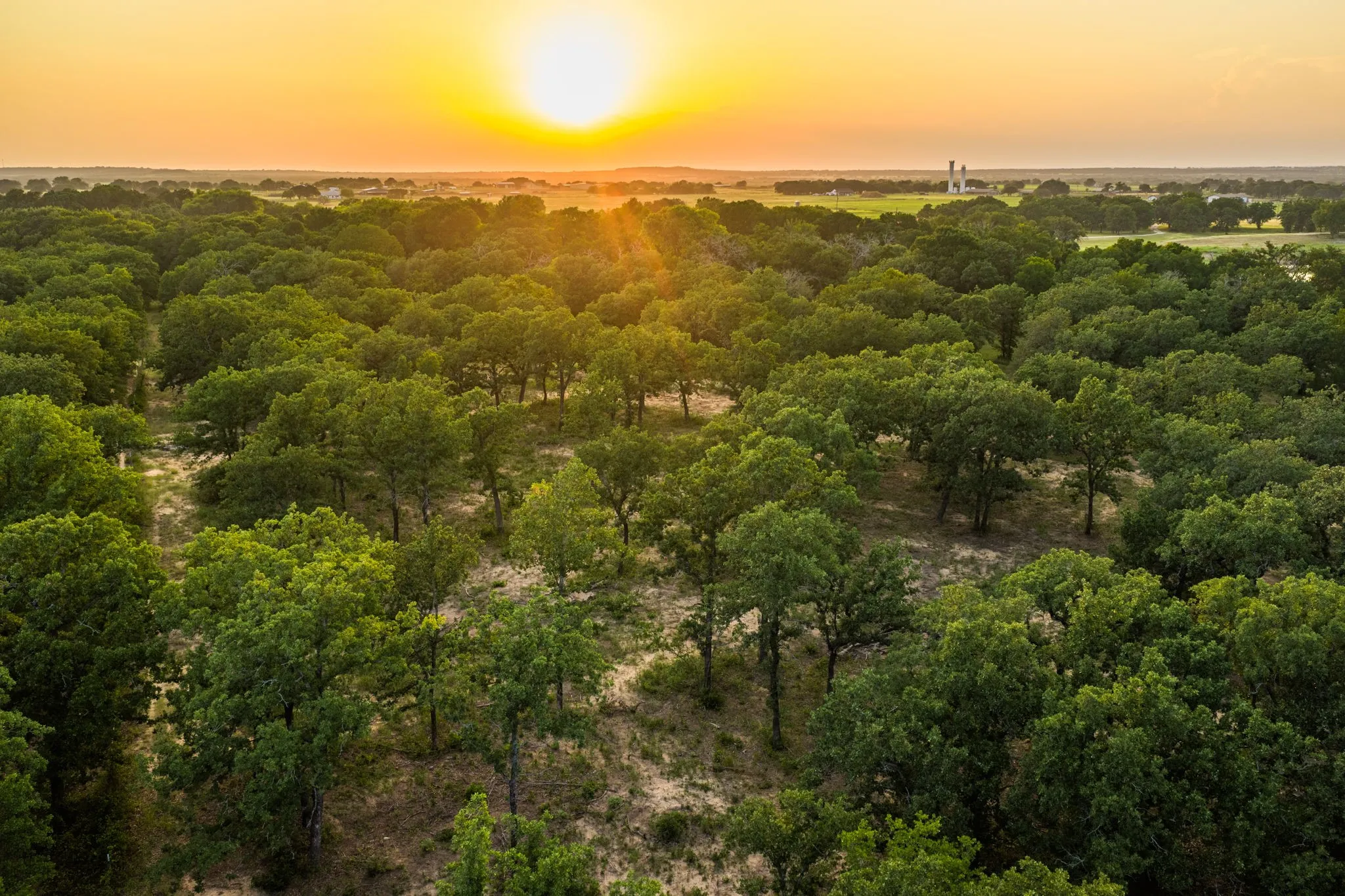Ranch For Sale in Hood County , 8606 Star Hollow Road, Lipan, Texas 76462, 0, 0, Garage spaces, 0 Sqft, built in 0, Price $1,500,000, mls#21353427, Real Estate Agent in Lipan, Homes For Sale in Hood county, Homes For Sale in Lipan, Realtor in Lipan Texas, Real Estate Brokerage Independent Realty Texas, Luminita Cordes Realtor