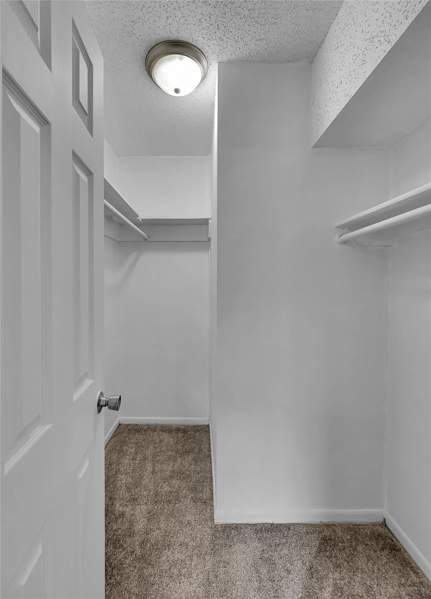 Walk-in closet featuring built-in shelving, hanging rods, and neutral-toned carpeting