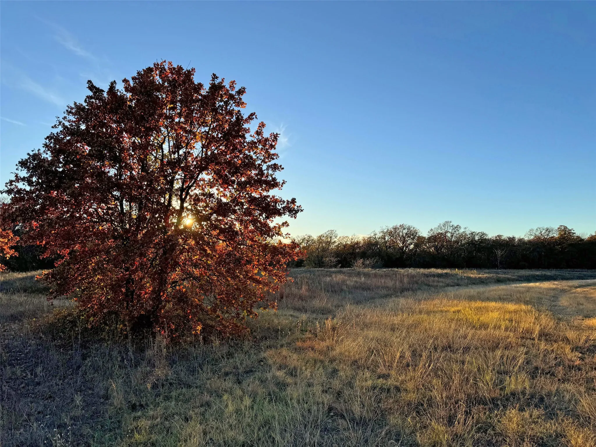 Improved Land For Sale in Denton County , 1111 Ellen Donald Lane, Argyle, Texas 76226, 0, 0, Garage spaces, 0 Sqft, built in 0, mls#21352336, Real Estate Agent in Argyle, Homes For Sale in Denton county, Homes For Sale in Argyle, Realtor in Argyle Texas, Real Estate Brokerage Independent Realty Texas, Luminita Cordes Realtor