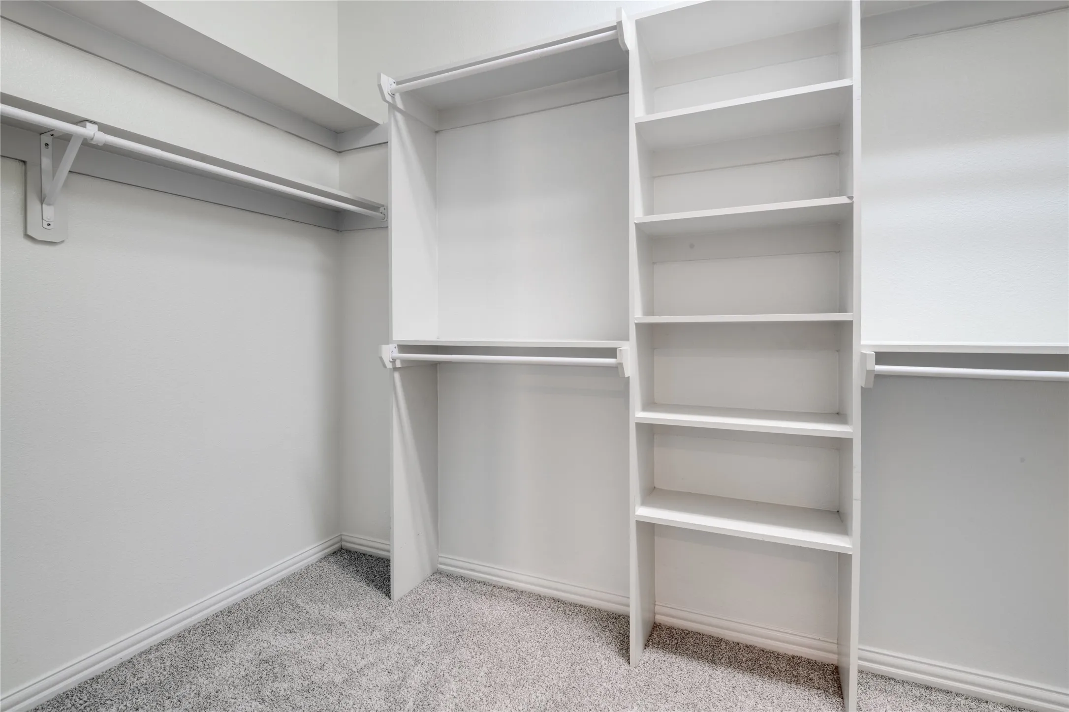 Primary Walk-in closet with built-in shelving, multiple hanging rods, and gray carpet flooring