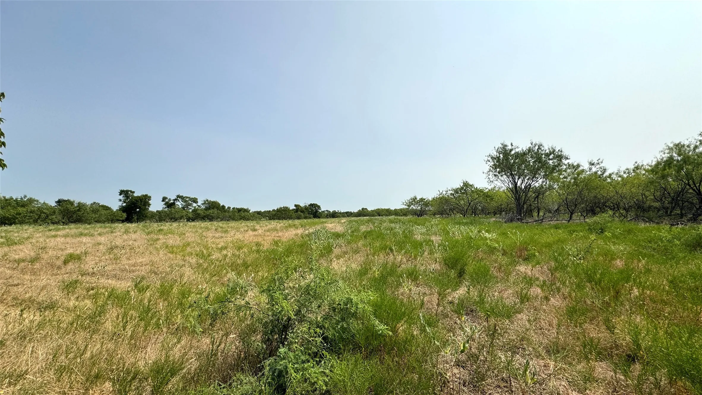 Unimproved Land For Sale in Kaufman County , 000 Co Rd 136, Terrell, Texas 75161, 0, 0, Garage spaces, 0 Sqft, built in 0, Price $499,900, mls#21351419, Real Estate Agent in Terrell, Homes For Sale in Kaufman county, Homes For Sale in Terrell, Realtor in Terrell Texas, Real Estate Brokerage Independent Realty Texas, Luminita Cordes Realtor