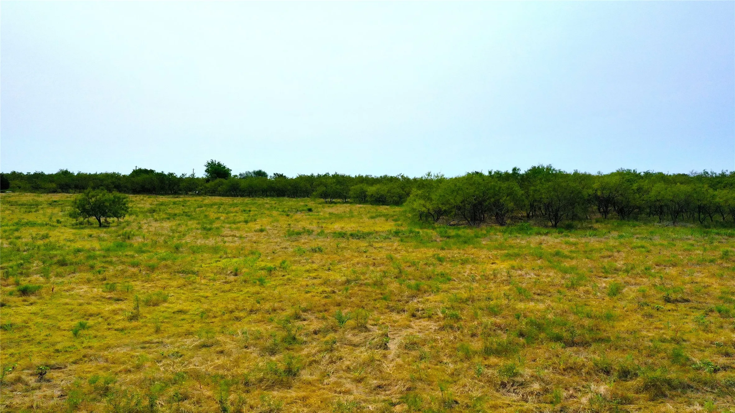 Unimproved Land For Sale in Kaufman County , 000 Co Rd 136, Terrell, Texas 75161, 0, 0, Garage spaces, 0 Sqft, built in 0, Price $499,900, mls#21351419, Real Estate Agent in Terrell, Homes For Sale in Kaufman county, Homes For Sale in Terrell, Realtor in Terrell Texas, Real Estate Brokerage Independent Realty Texas, Luminita Cordes Realtor