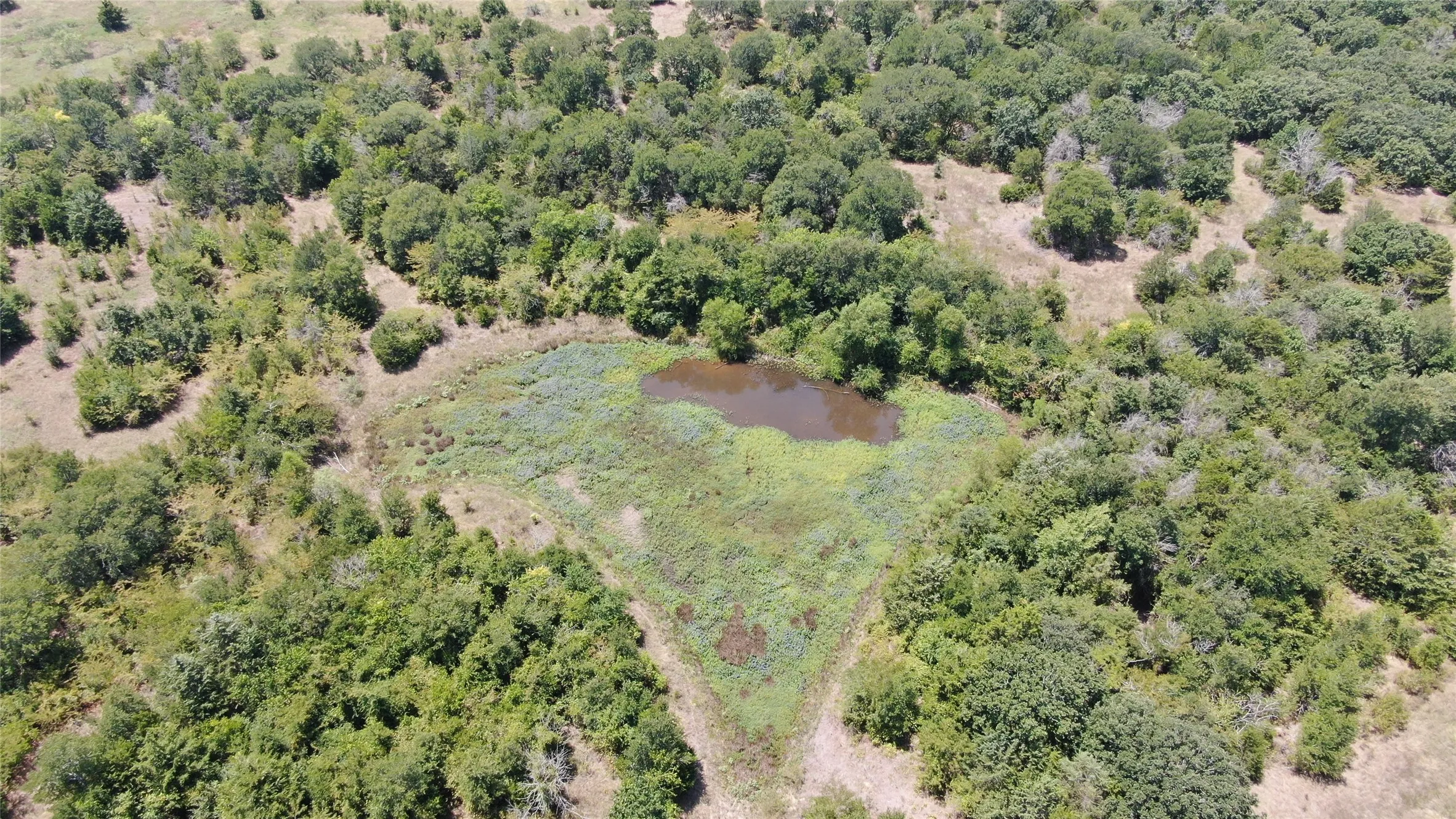 Unimproved Land For Sale in Van Zandt County , 0 FM 47, Wills Point, Texas 75169, 0, 0, Garage spaces, 0 Sqft, built in 0, Price $2,000,000, mls#21353466, Real Estate Agent in Wills Point, Homes For Sale in Van Zandt county, Homes For Sale in Wills Point, Realtor in Wills Point Texas, Real Estate Brokerage Independent Realty Texas, Luminita Cordes Realtor