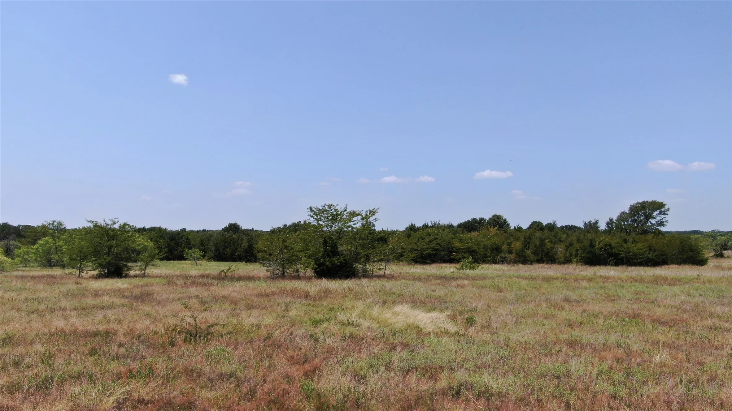 Unimproved Land For Sale in Van Zandt County , 0 FM 47, Wills Point, Texas 75169, 0, 0, Garage spaces, 0 Sqft, built in 0, Price $2,000,000, mls#21353466, Real Estate Agent in Wills Point, Homes For Sale in Van Zandt county, Homes For Sale in Wills Point, Realtor in Wills Point Texas, Real Estate Brokerage Independent Realty Texas, Luminita Cordes Realtor