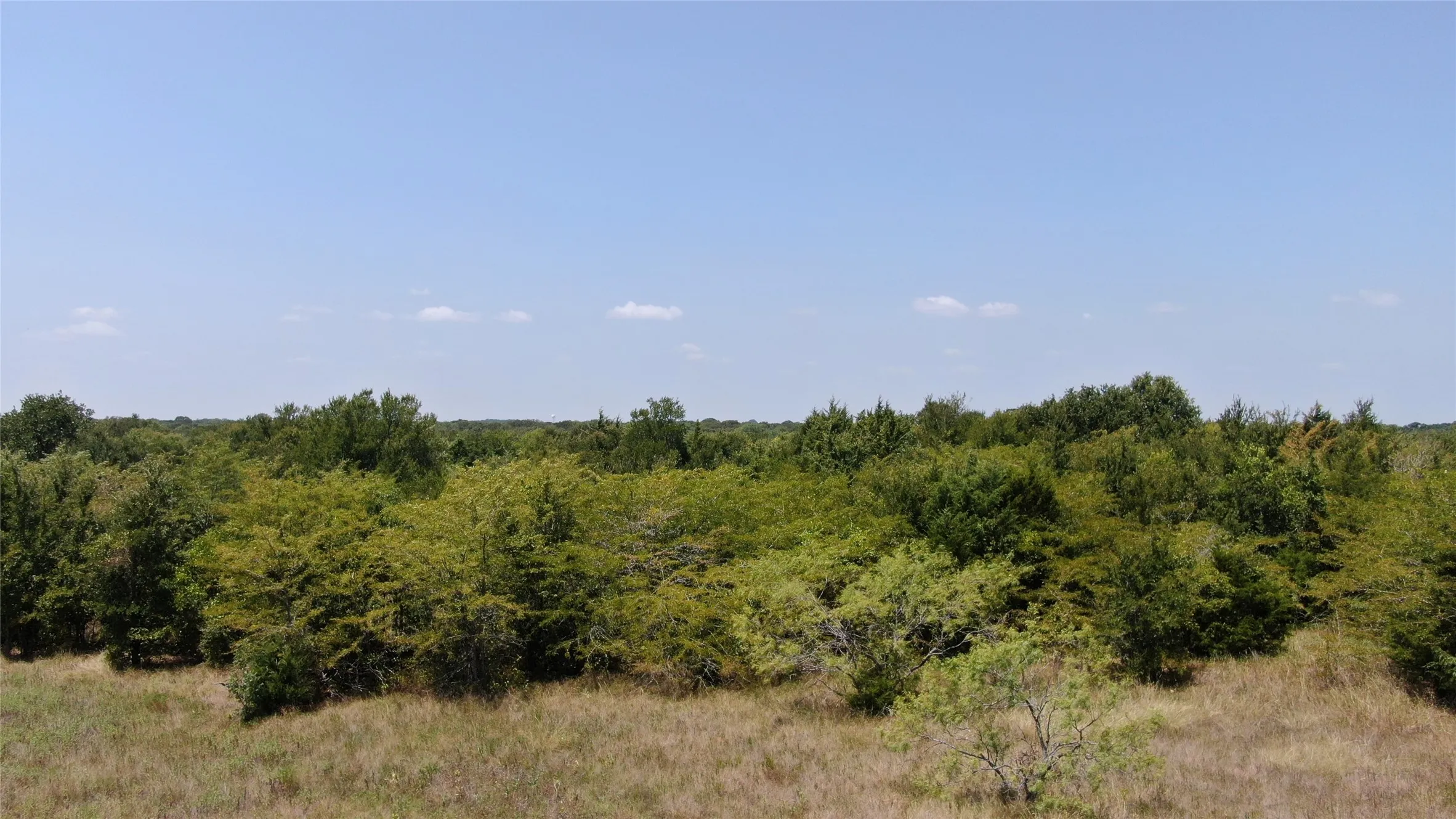 Unimproved Land For Sale in Van Zandt County , 0 FM 47, Wills Point, Texas 75169, 0, 0, Garage spaces, 0 Sqft, built in 0, Price $2,000,000, mls#21353466, Real Estate Agent in Wills Point, Homes For Sale in Van Zandt county, Homes For Sale in Wills Point, Realtor in Wills Point Texas, Real Estate Brokerage Independent Realty Texas, Luminita Cordes Realtor
