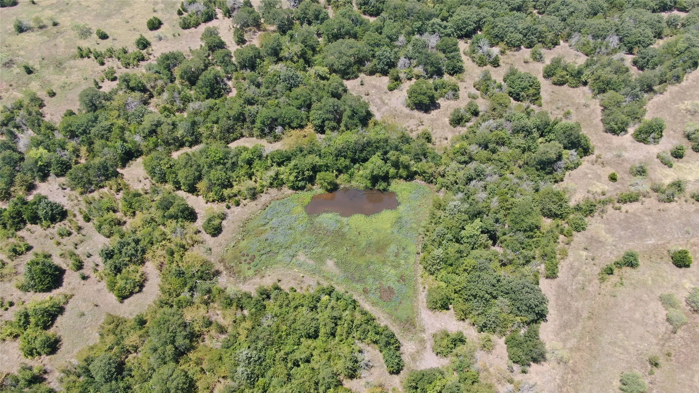 Unimproved Land For Sale in Van Zandt County , 0 FM 47, Wills Point, Texas 75169, 0, 0, Garage spaces, 0 Sqft, built in 0, Price $2,000,000, mls#21353466, Real Estate Agent in Wills Point, Homes For Sale in Van Zandt county, Homes For Sale in Wills Point, Realtor in Wills Point Texas, Real Estate Brokerage Independent Realty Texas, Luminita Cordes Realtor