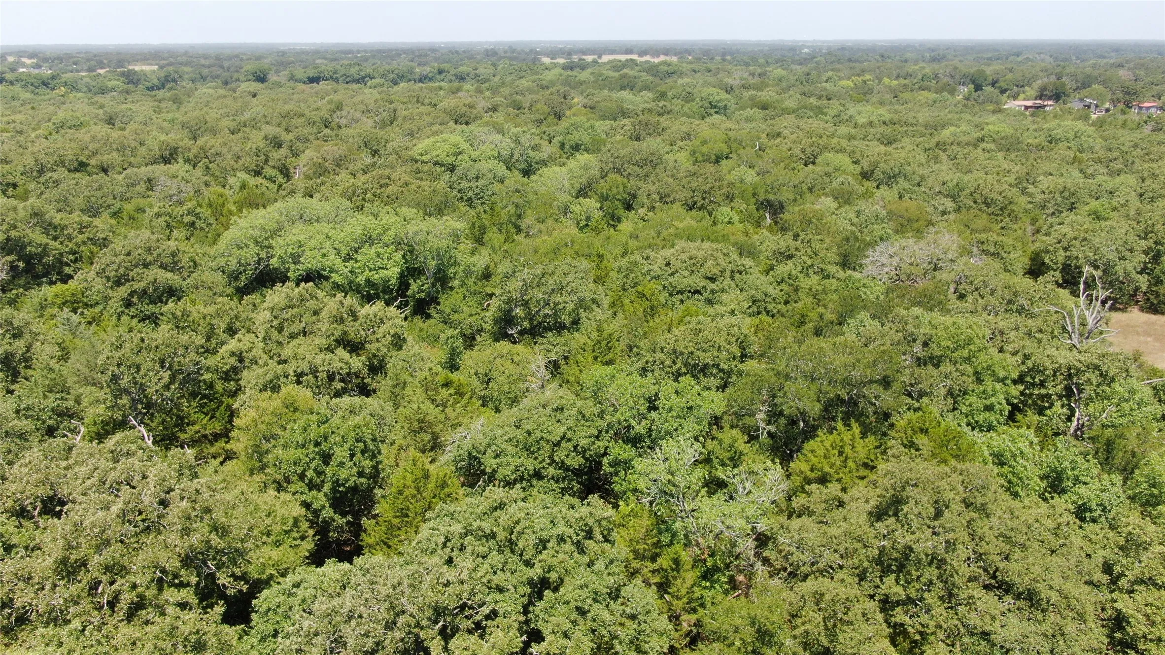 Unimproved Land For Sale in Van Zandt County , 0 FM 47, Wills Point, Texas 75169, 0, 0, Garage spaces, 0 Sqft, built in 0, Price $2,000,000, mls#21353466, Real Estate Agent in Wills Point, Homes For Sale in Van Zandt county, Homes For Sale in Wills Point, Realtor in Wills Point Texas, Real Estate Brokerage Independent Realty Texas, Luminita Cordes Realtor