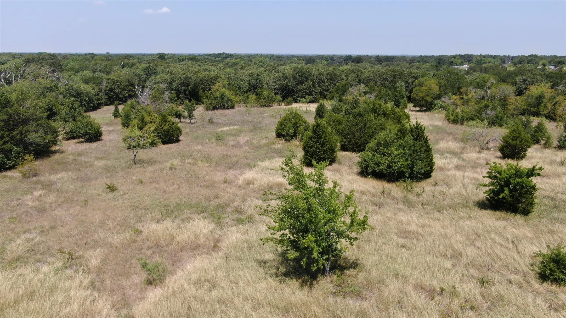 Unimproved Land For Sale in Van Zandt County , 0 FM 47, Wills Point, Texas 75169, 0, 0, Garage spaces, 0 Sqft, built in 0, Price $2,000,000, mls#21353466, Real Estate Agent in Wills Point, Homes For Sale in Van Zandt county, Homes For Sale in Wills Point, Realtor in Wills Point Texas, Real Estate Brokerage Independent Realty Texas, Luminita Cordes Realtor