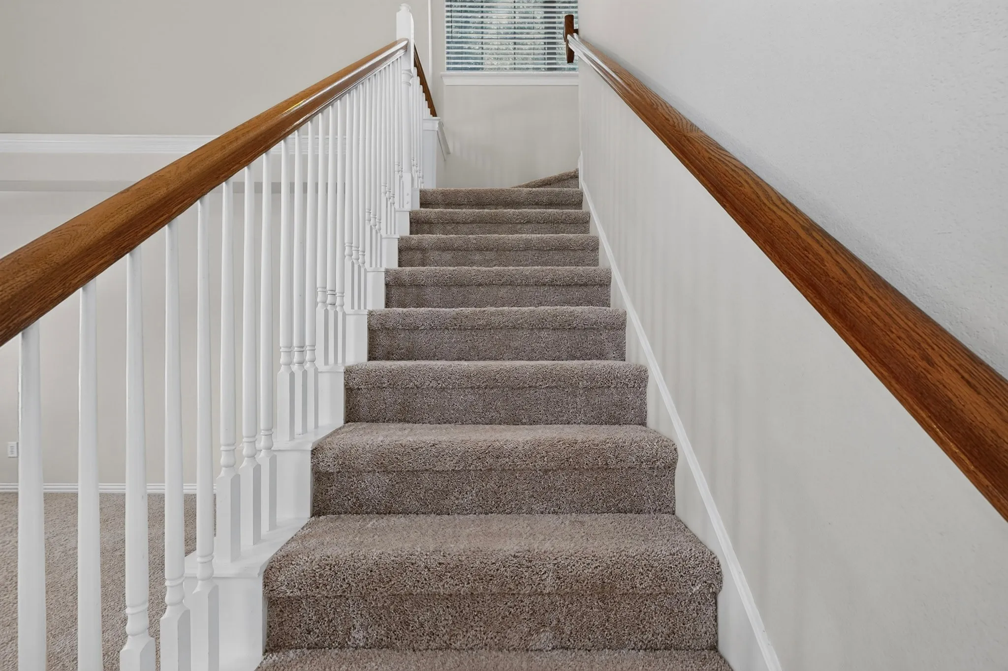 New carpet throughout