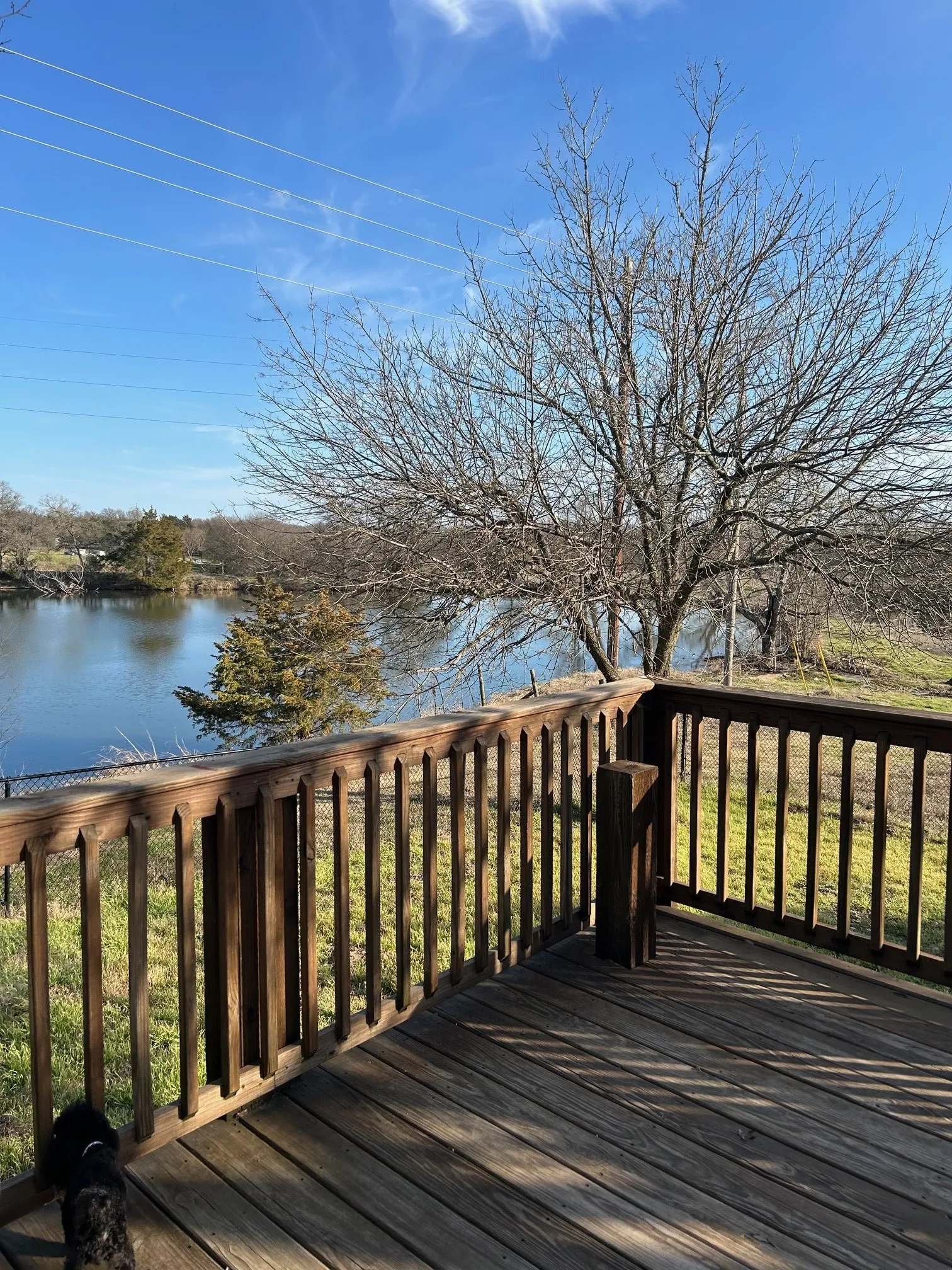 Single Family Residence For Rent in Ellis County , 2650 Fm 983, Red Oak, Texas 75125, 3 Bedrooms, 3 Bathrooms, 2 Garage spaces, 2,089 Sqft, built in 1984, Price $3,000, mls#21353136, Real Estate Agent in Red Oak, Homes For Rent in Ellis county, Homes For Rent in Red Oak, Realtor in Red Oak Texas, Real Estate Brokerage Independent Realty Texas, Luminita Cordes Realtor