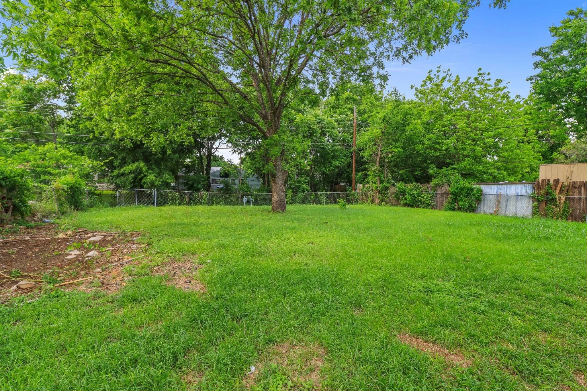 Expansive green lawn featuring a large mature tree, partial chain-link fencing, and a partial wood fence