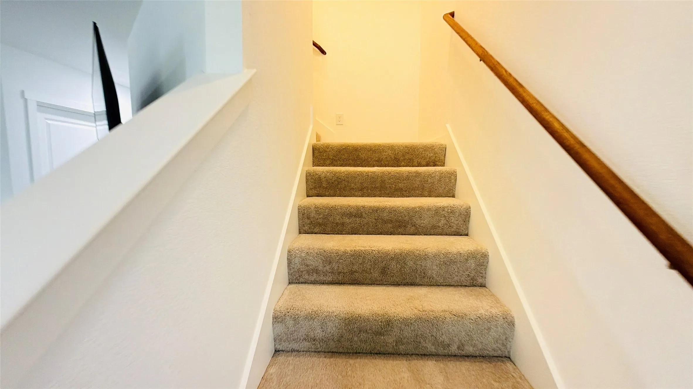 Carpeted staircase with a wood handrail