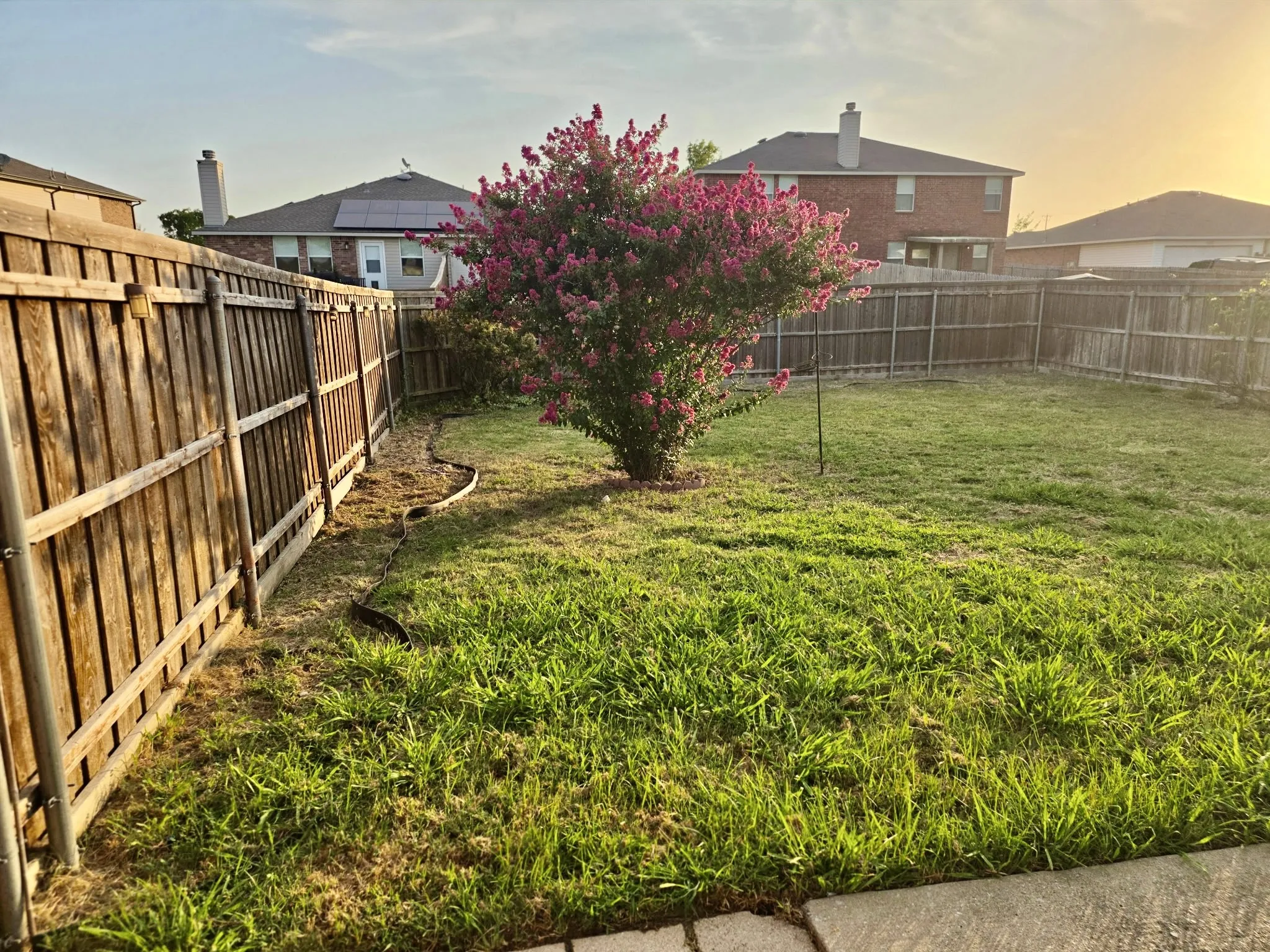 Single Family Residence For Rent in Rockwall County , 1217 Evergreen Street, Royse City, Texas 75189, 3 Bedroom, 2 Bathroom, 2 Garage spaces, 1,702 Sqft, built in 2006, mls#21353639, Real Estate Agent in Royse City, Homes For Rent in Rockwall county, Homes For Rent in Royse City, Realtor in Royse City Texas, Real Estate Brokerage Independent Realty Texas, Luminita Cordes Realtor