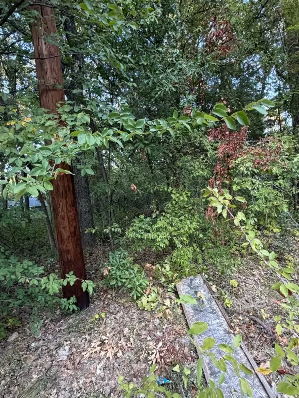 Unimproved Land For Sale in Henderson County , 132 Chapperall Drive, Mabank, Texas 75156, 0, 0, Garage spaces, 0 Sqft, built in 0, mls#21353679, Real Estate Agent in Mabank, Homes For Sale in Henderson county, Homes For Sale in Mabank, Realtor in Mabank Texas, Real Estate Brokerage Independent Realty Texas, Luminita Cordes Realtor