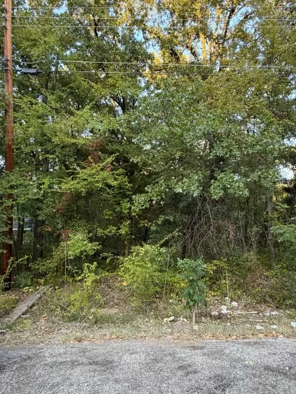 Unimproved Land For Sale in Henderson County , 132 Chapperall Drive, Mabank, Texas 75156, 0, 0, Garage spaces, 0 Sqft, built in 0, mls#21353679, Real Estate Agent in Mabank, Homes For Sale in Henderson county, Homes For Sale in Mabank, Realtor in Mabank Texas, Real Estate Brokerage Independent Realty Texas, Luminita Cordes Realtor