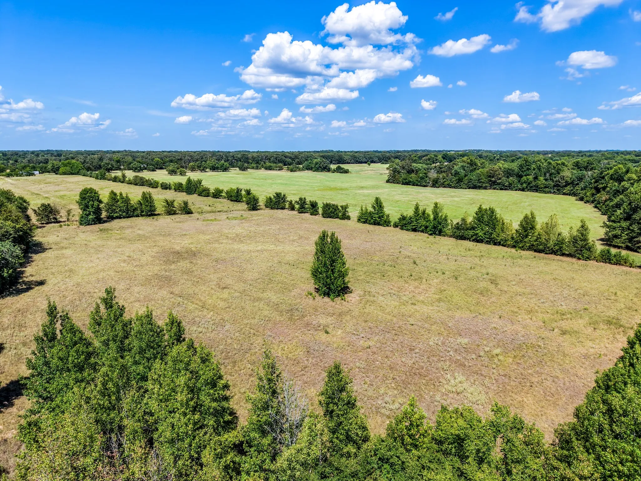 Unimproved Land For Sale in Hopkins County , TBD County Road 2331, Como, Texas 75431, 0, 0, Garage spaces, 0 Sqft, built in 0, mls#21353724, Real Estate Agent in Como, Homes For Sale in Hopkins county, Homes For Sale in Como, Realtor in Como Texas, Real Estate Brokerage Independent Realty Texas, Luminita Cordes Realtor