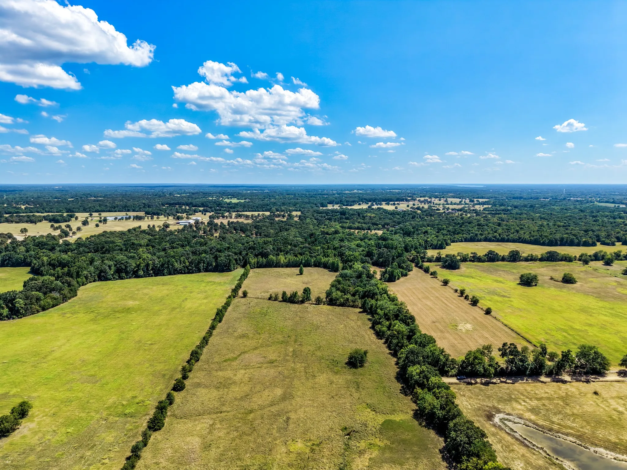 Expansive rural landscape featuring open fields, mature tree lines, and distant wooded areas