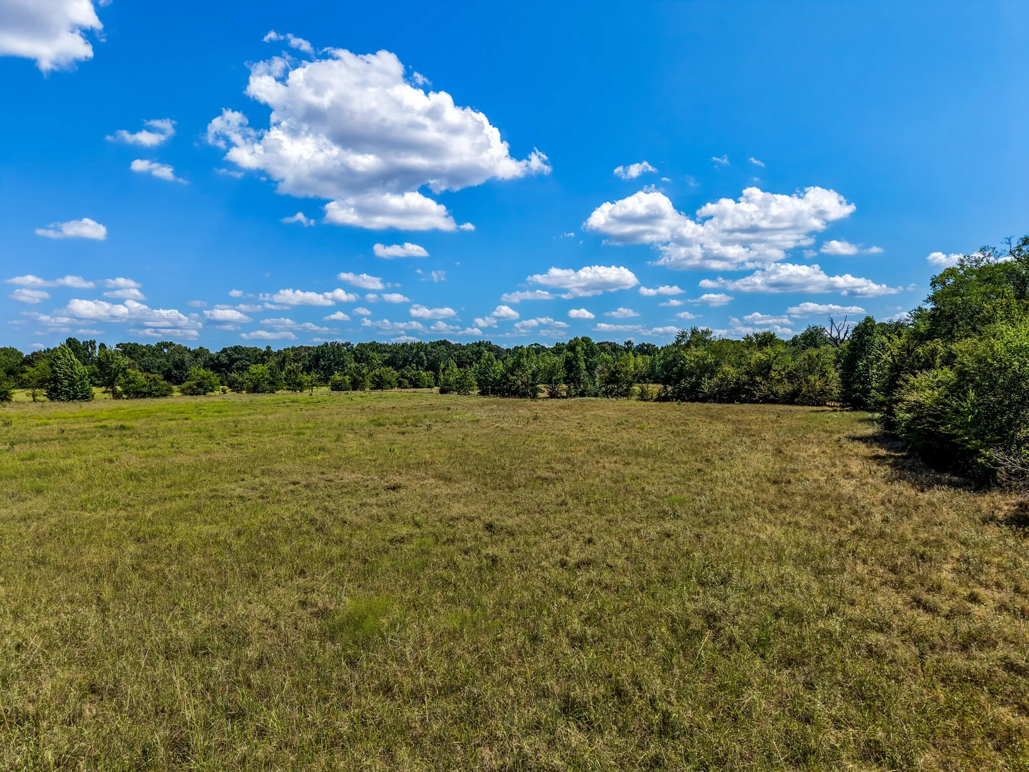 Expansive open land with mature tree lines defining the​​‌​​​​‌​​‌‌​‌‌​​​‌‌​‌​‌​‌​​​‌​​ perimeter
