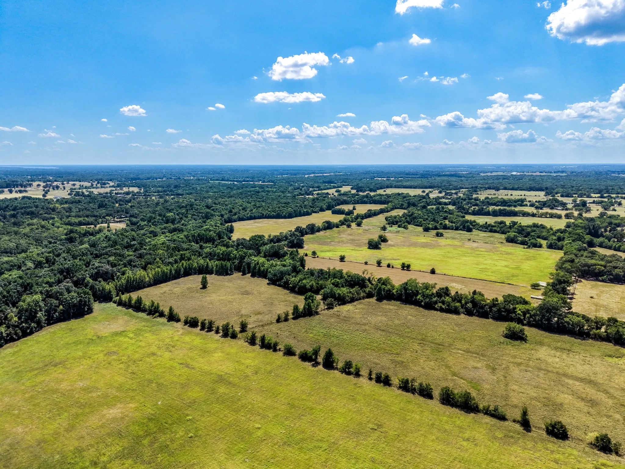 Expansive green fields with scattered tree lines and distant wooded​​‌​​​​‌​​‌‌​‌‌​​​‌‌​‌​‌​‌​​​‌​​ areas