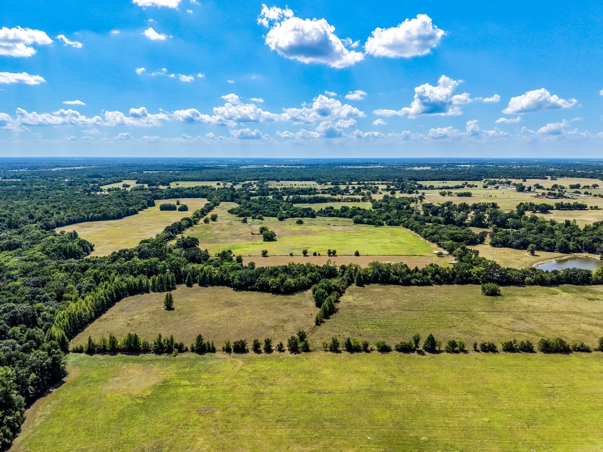 Expansive rural acreage with multiple open fields, abundant mature trees, and a visible pond feature