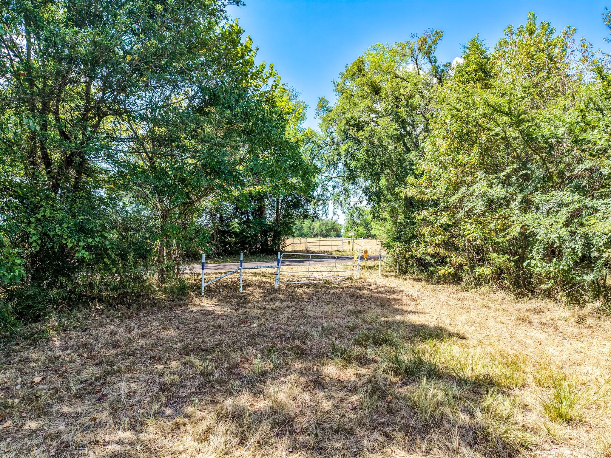 Mature trees and natural landscaping surround the property
