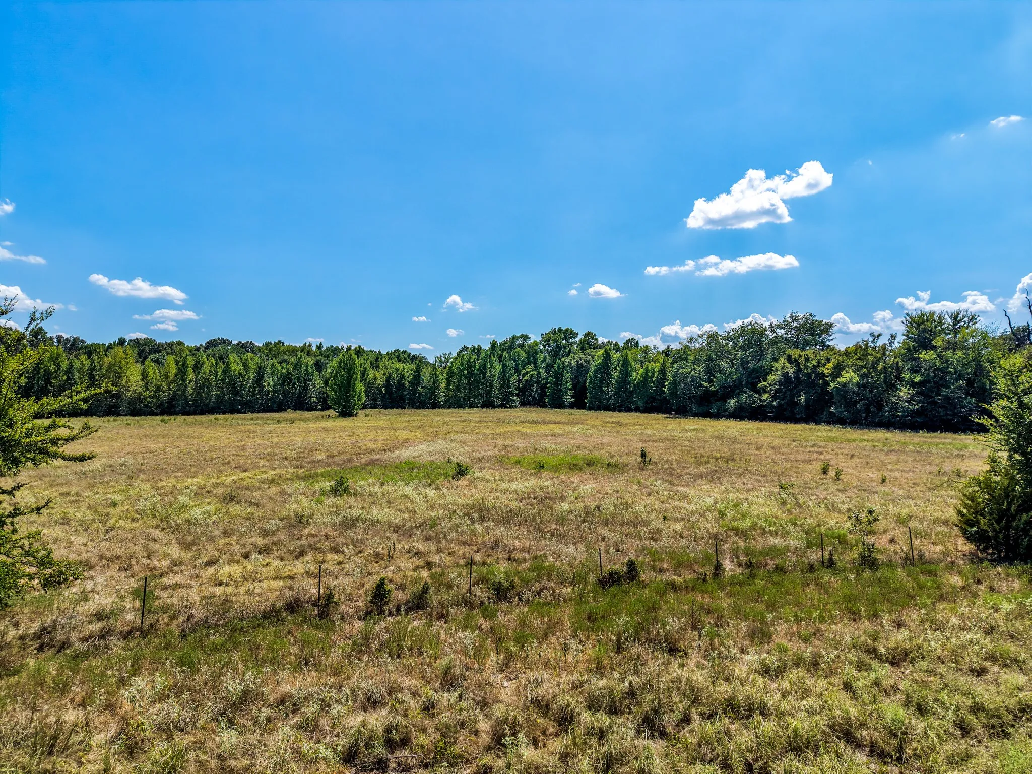 Expansive open field with a lush tree line