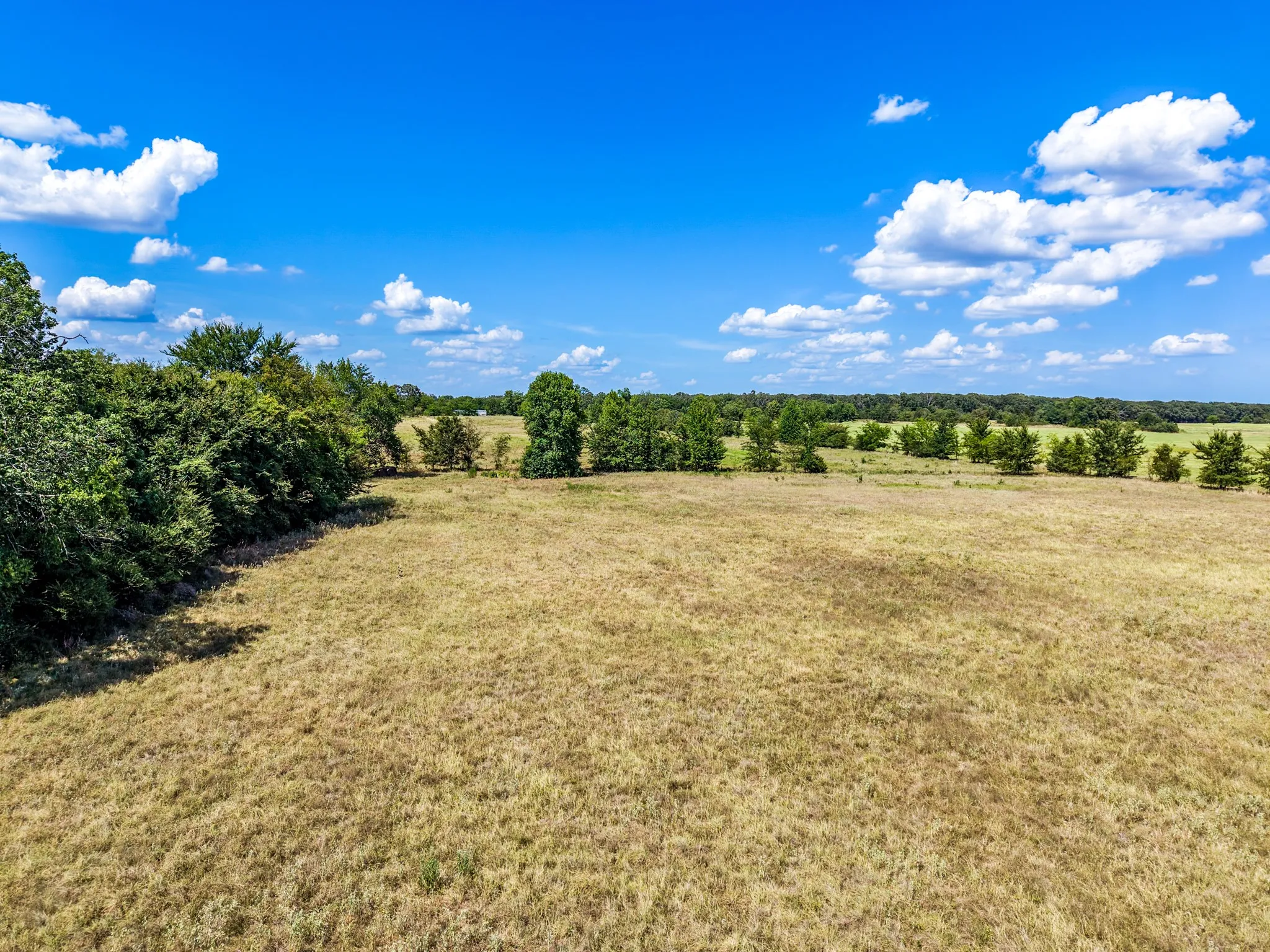 Unimproved Land For Sale in Hopkins County , TBD County Road 2331, Como, Texas 75431, 0, 0, Garage spaces, 0 Sqft, built in 0, mls#21353724, Real Estate Agent in Como, Homes For Sale in Hopkins county, Homes For Sale in Como, Realtor in Como Texas, Real Estate Brokerage Independent Realty Texas, Luminita Cordes Realtor