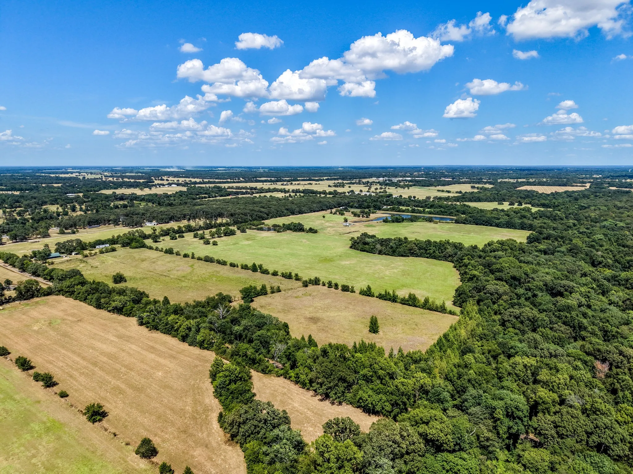 Expansive acreage featuring open fields, wooded sections, and a tranquil pond
