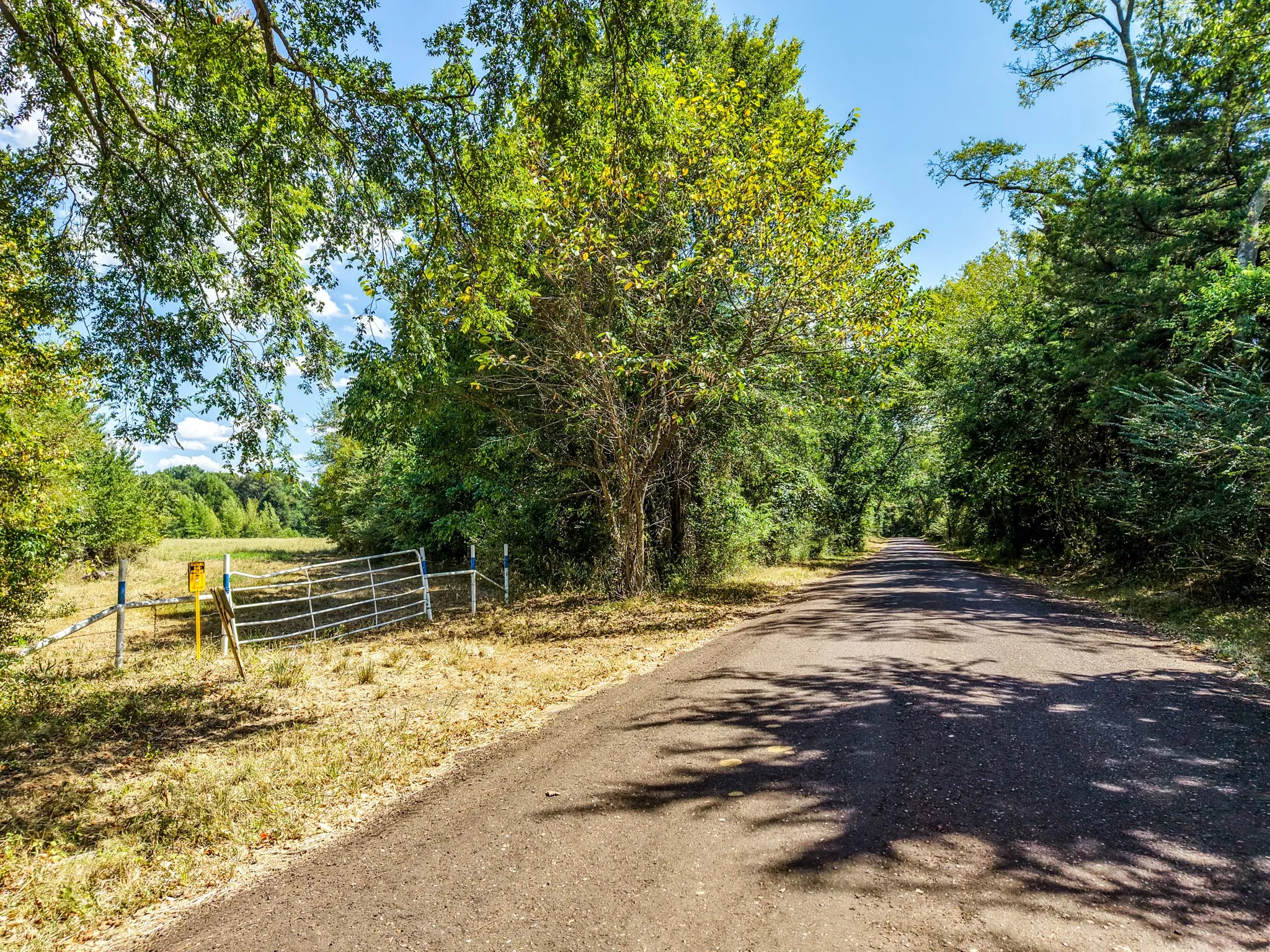 Paved road bordered by abundant mature trees and a metal gate