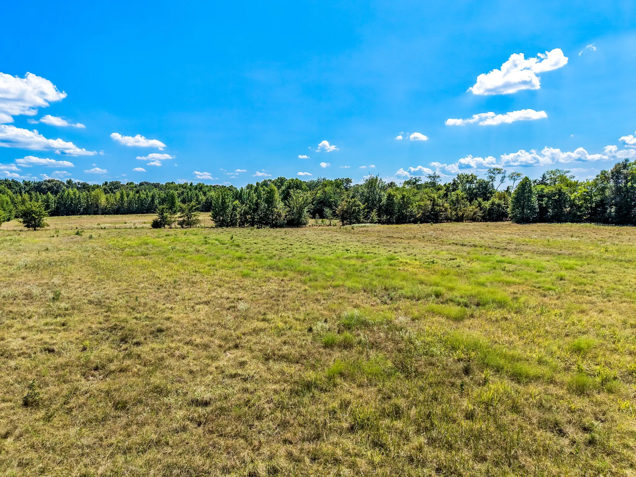 Unimproved Land For Sale in Hopkins County , TBD County Road 2331, Como, Texas 75431, 0, 0, Garage spaces, 0 Sqft, built in 0, mls#21353724, Real Estate Agent in Como, Homes For Sale in Hopkins county, Homes For Sale in Como, Realtor in Como Texas, Real Estate Brokerage Independent Realty Texas, Luminita Cordes Realtor