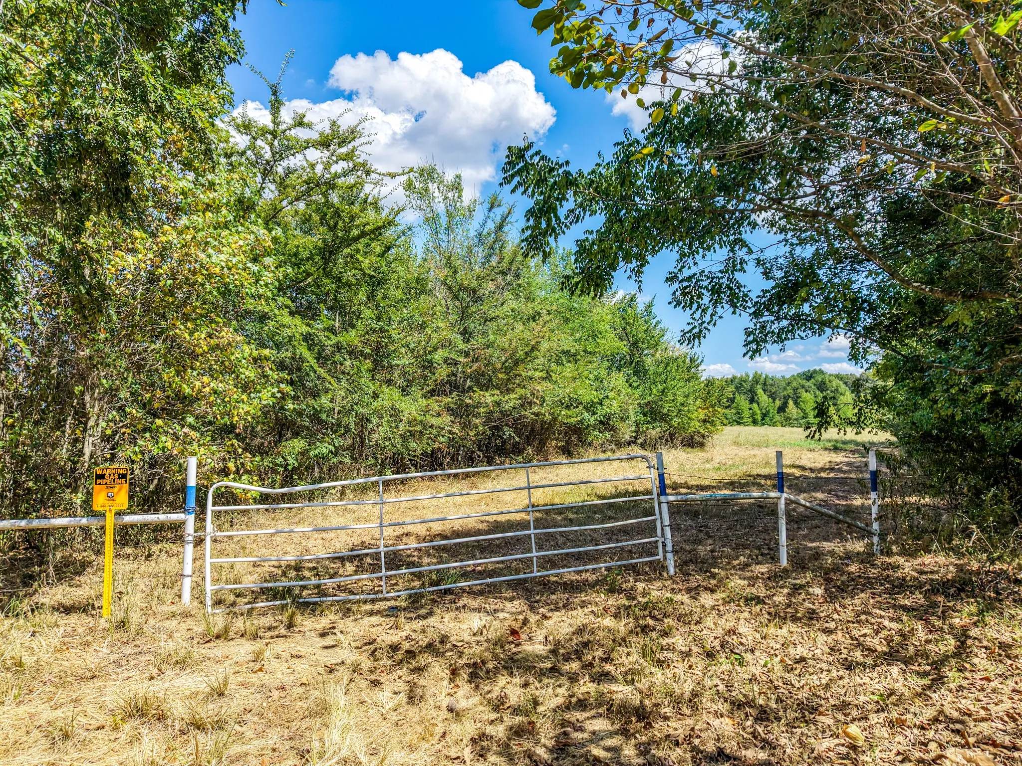 Unimproved Land For Sale in Hopkins County , TBD County Road 2331, Como, Texas 75431, 0, 0, Garage spaces, 0 Sqft, built in 0, mls#21353724, Real Estate Agent in Como, Homes For Sale in Hopkins county, Homes For Sale in Como, Realtor in Como Texas, Real Estate Brokerage Independent Realty Texas, Luminita Cordes Realtor