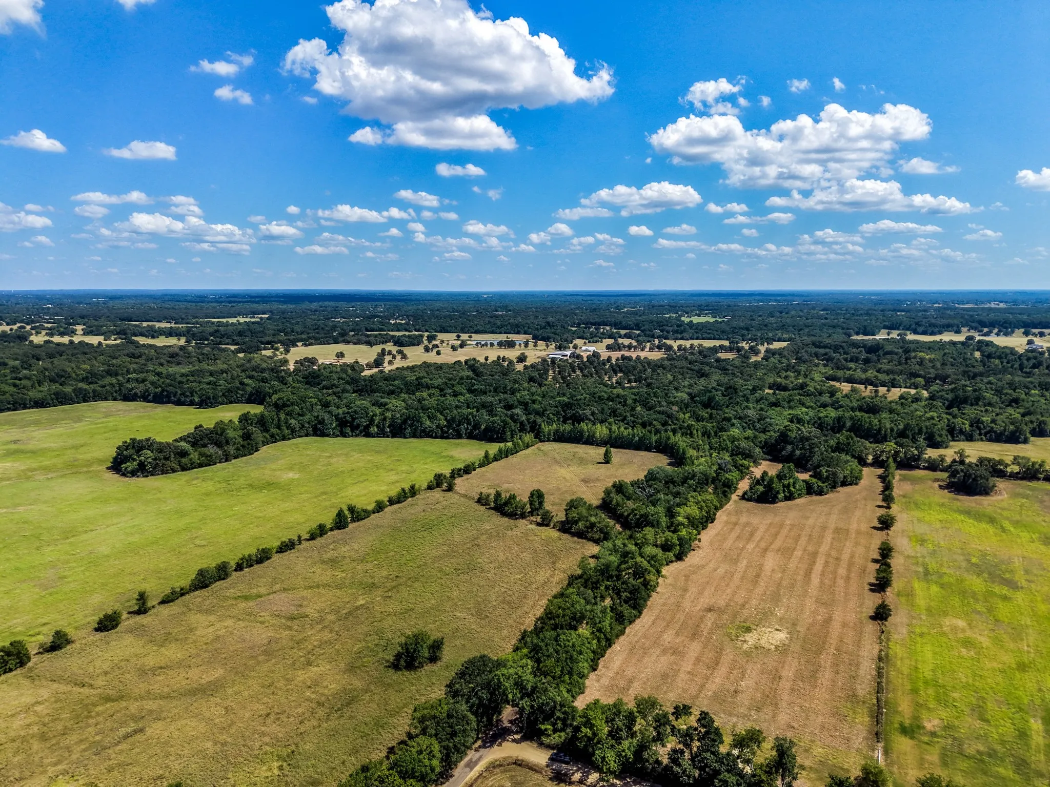 Expansive land featuring a mix of open fields and mature tree lines