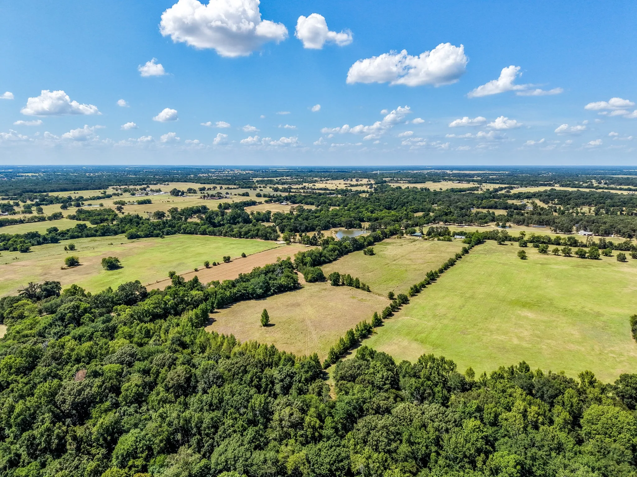 Expansive landscape featuring large areas of green pasture, mature tree lines, a visible pond, and distant wooded areas