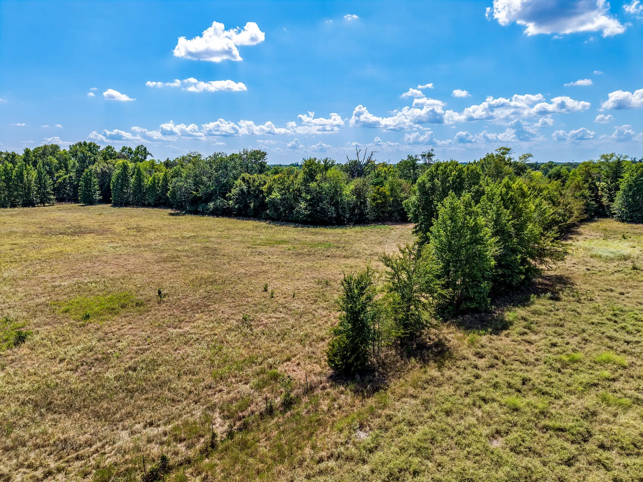 Unimproved Land For Sale in Hopkins County , TBD County Road 2331, Como, Texas 75431, 0, 0, Garage spaces, 0 Sqft, built in 0, mls#21353724, Real Estate Agent in Como, Homes For Sale in Hopkins county, Homes For Sale in Como, Realtor in Como Texas, Real Estate Brokerage Independent Realty Texas, Luminita Cordes Realtor