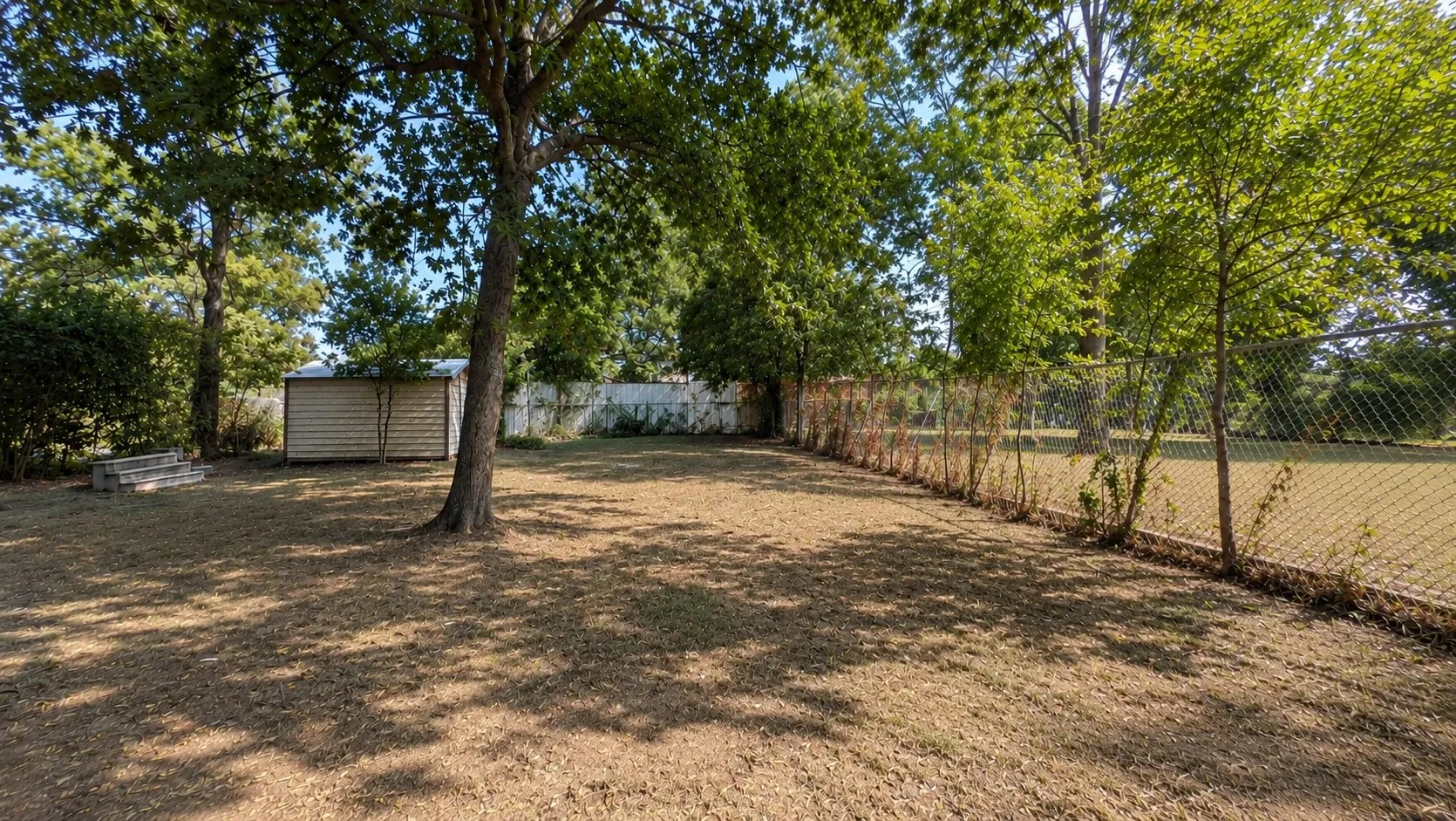 Good size backyard and shed.