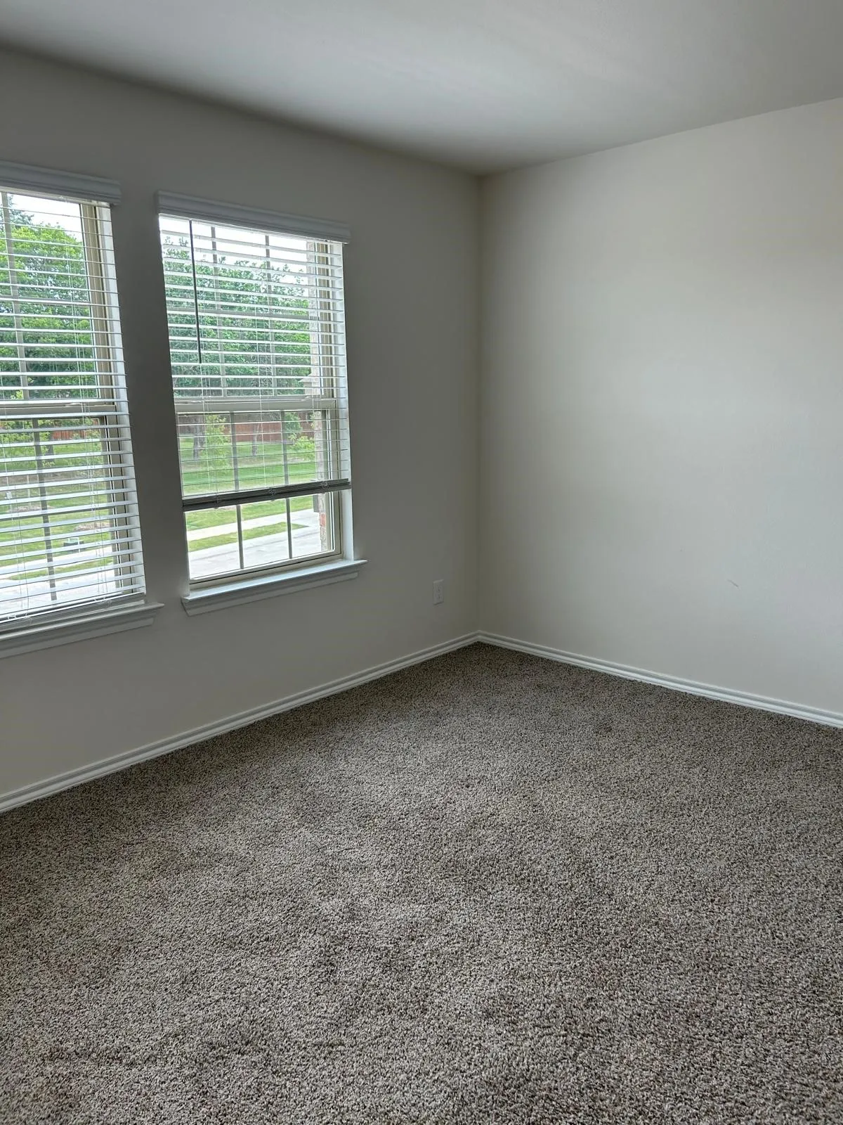 Carpeted room with multiple windows and neutral wall finishes