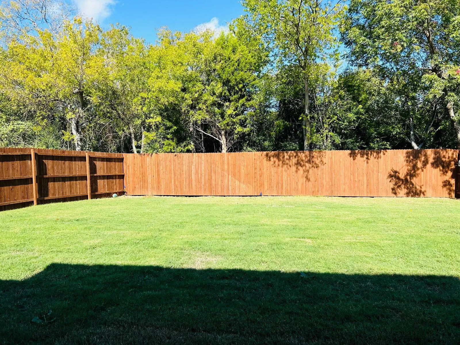 Expansive green lawn with a wood plank privacy fence