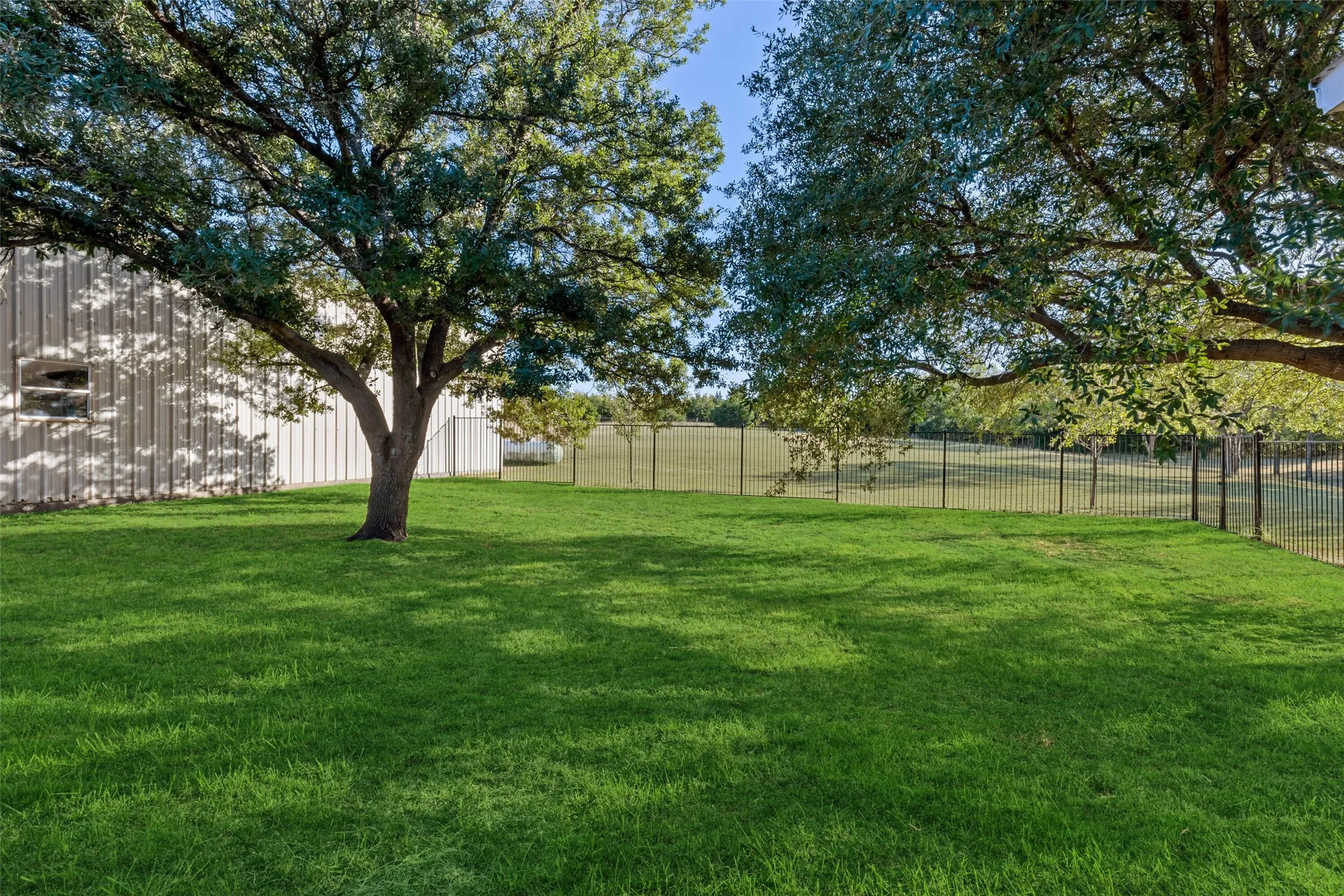 View of back house backyard