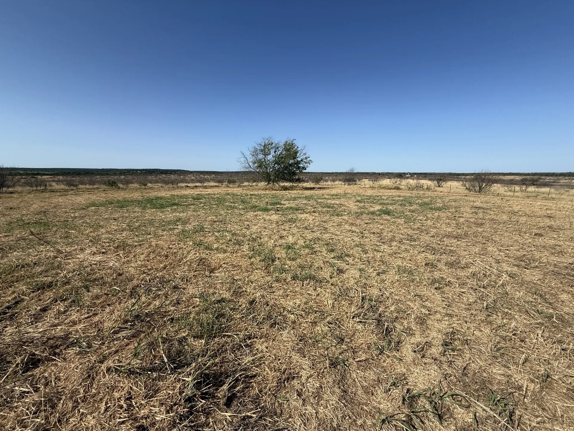 Improved Land For Sale in Montague County , TBD Kirby Road, Nocona, Texas 76255, 0, 0, Garage spaces, 0 Sqft, built in 0, mls#21353511, Real Estate Agent in Nocona, Homes For Sale in Montague county, Homes For Sale in Nocona, Realtor in Nocona Texas, Real Estate Brokerage Independent Realty Texas, Luminita Cordes Realtor