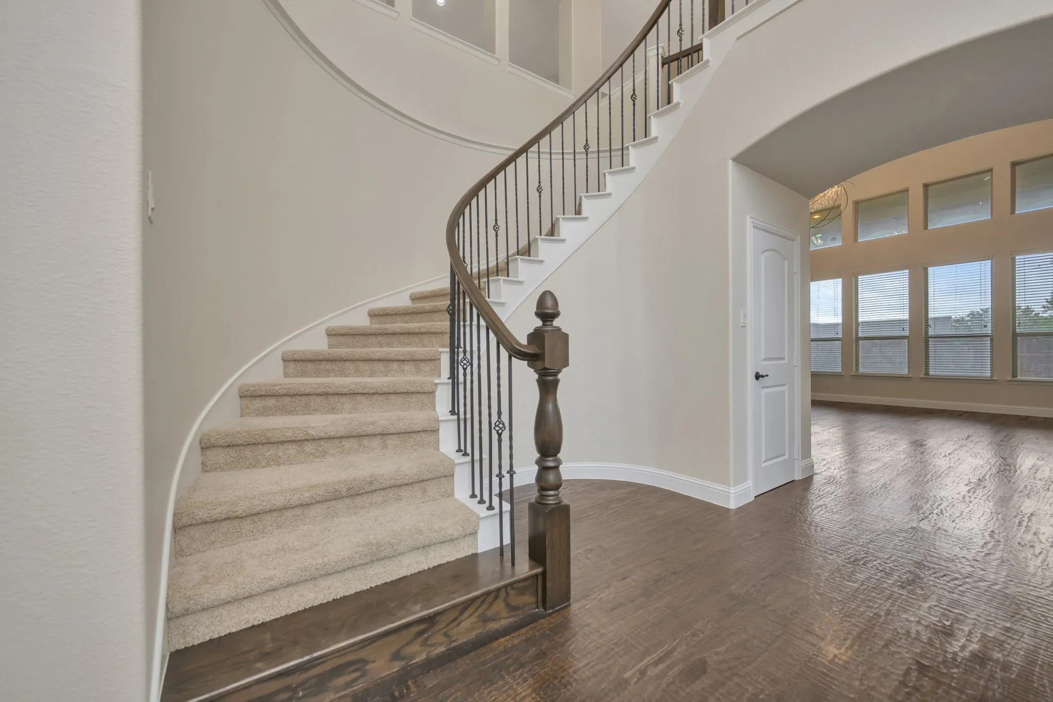 Grand Entrance Impresses at First Sight!